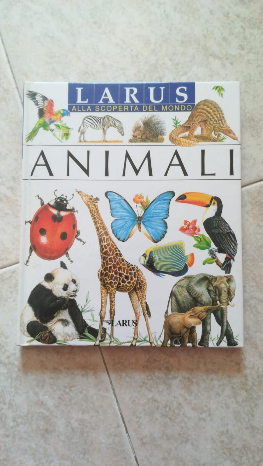Gli animali (Alla scoperta del mondo) Non-fiction