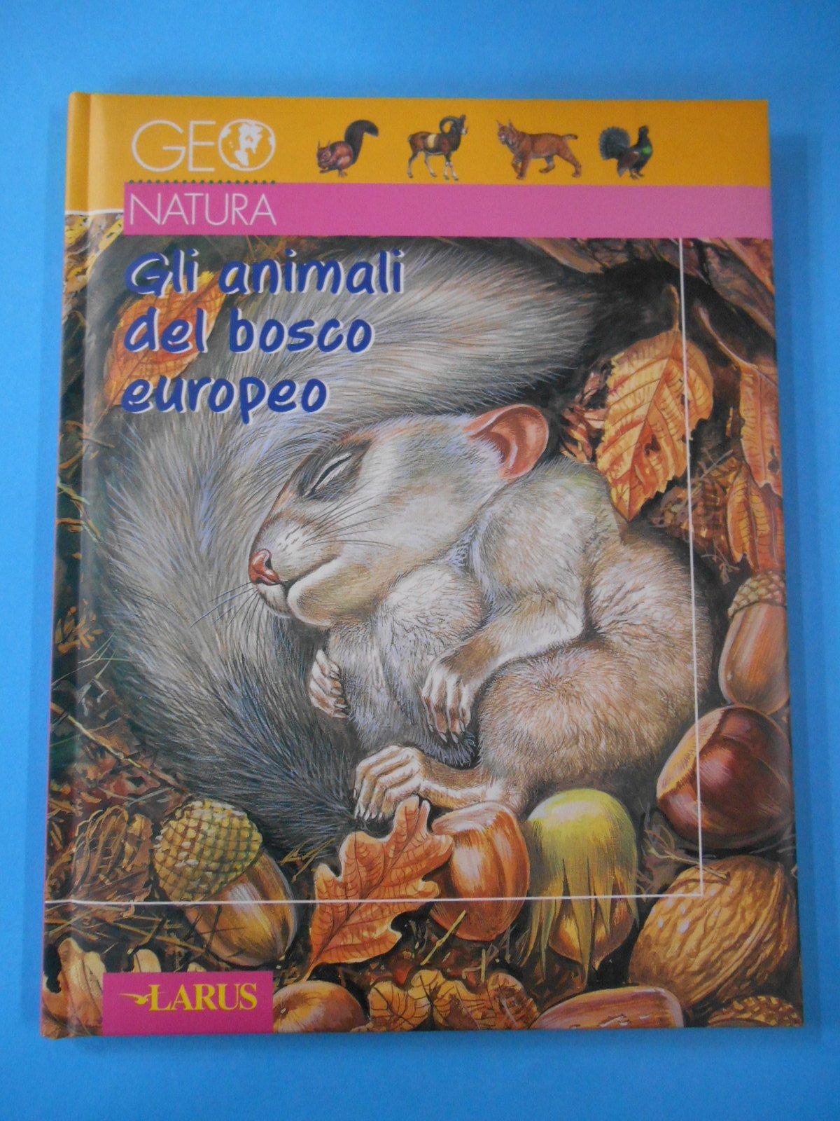Gli animali del bosco europeo book