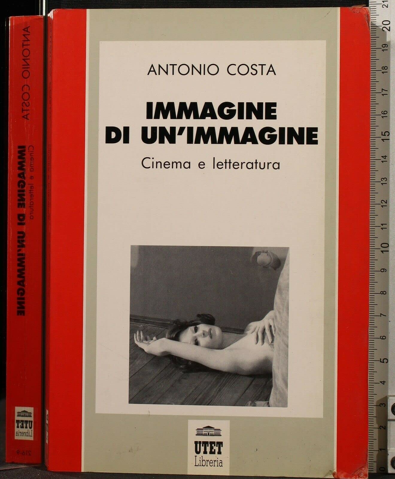 Immagine di un'immagine. Cinema e letteratura Film, Art & Culture