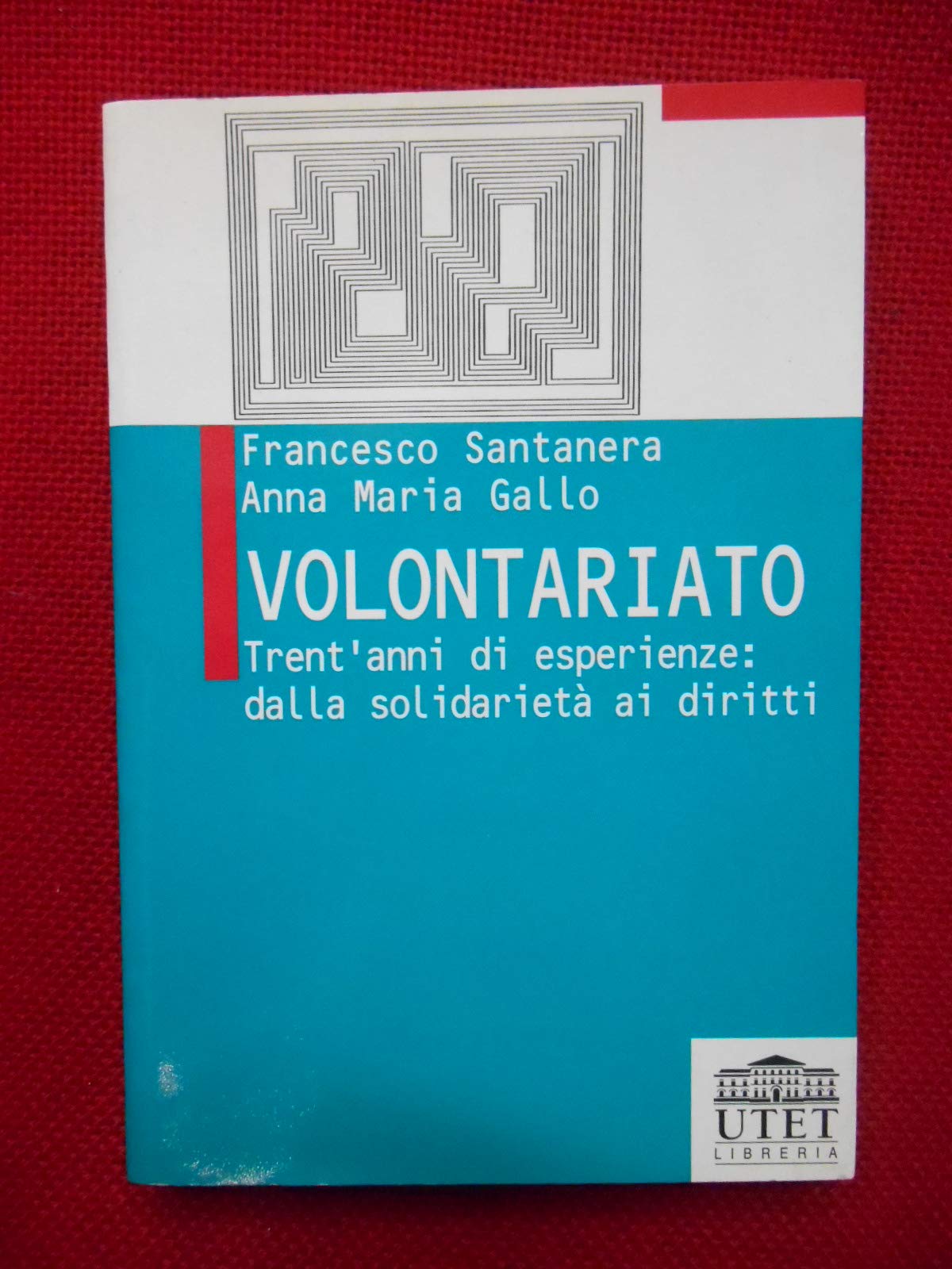 Volontariato. Trent'anni di esperienze: dalla solidarietà ai diritti book