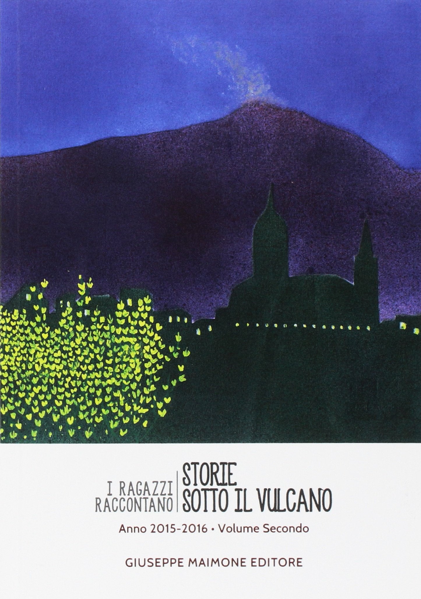 Storie sotto il vulcano. I ragazzi raccontano. Anno 2015-2016 (Vol. 2) book