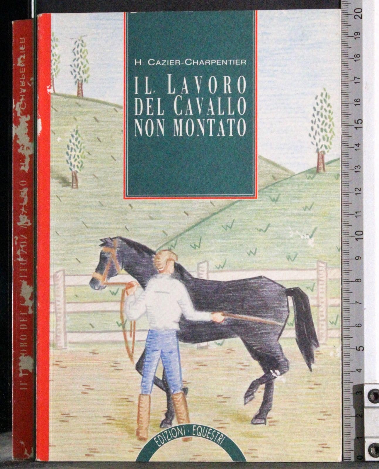 Il lavoro del cavallo non montato book