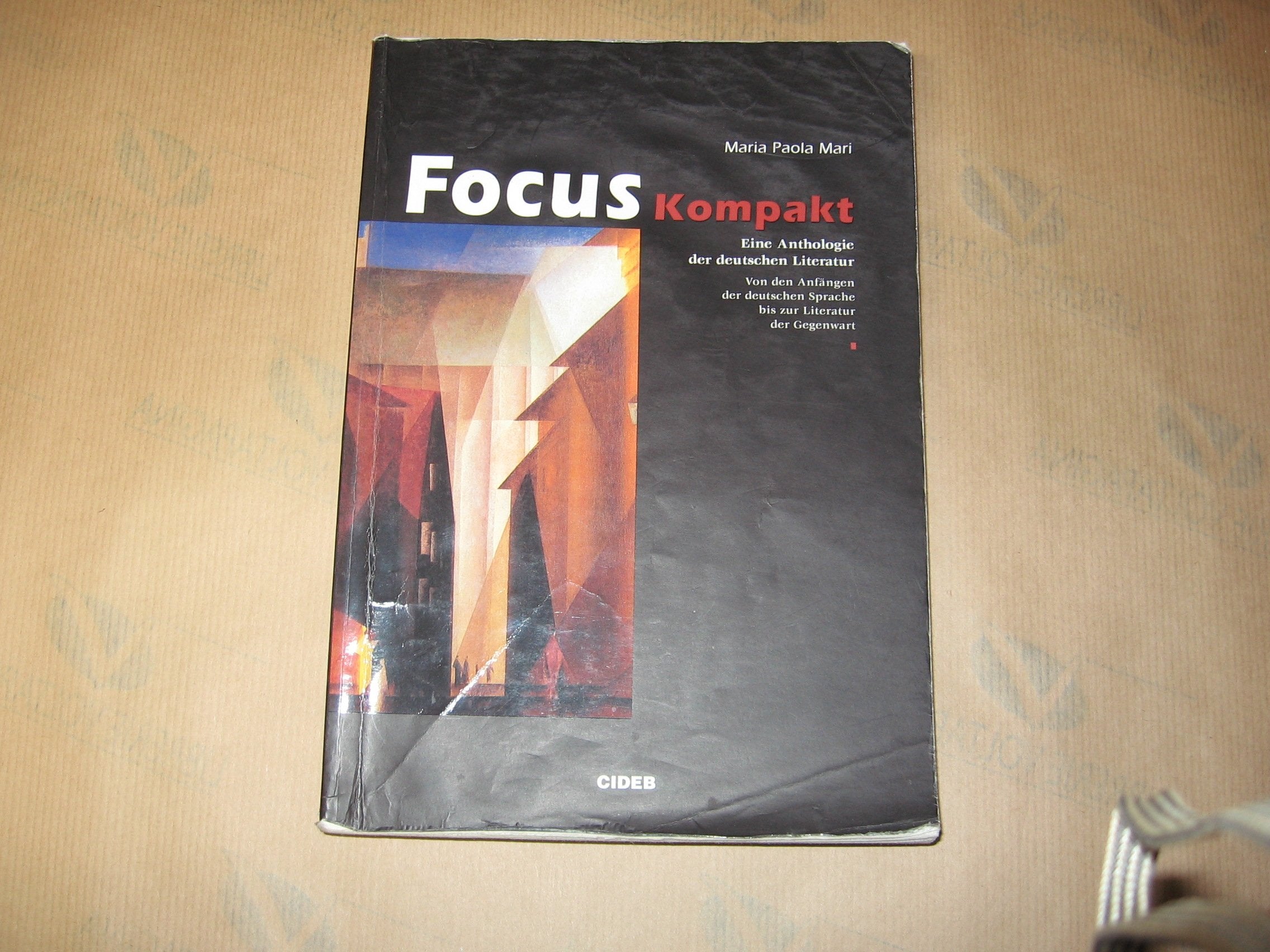 Focus Kompakt. Per le Scuole superiori book