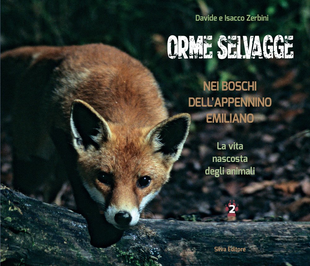 Orme selvagge nei boschi dell'Appennino emiliano. La vta nascosta degli animali (Vol. 2) book