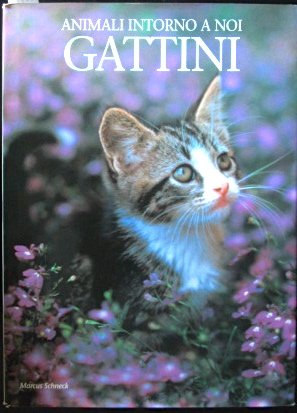 Gattini book