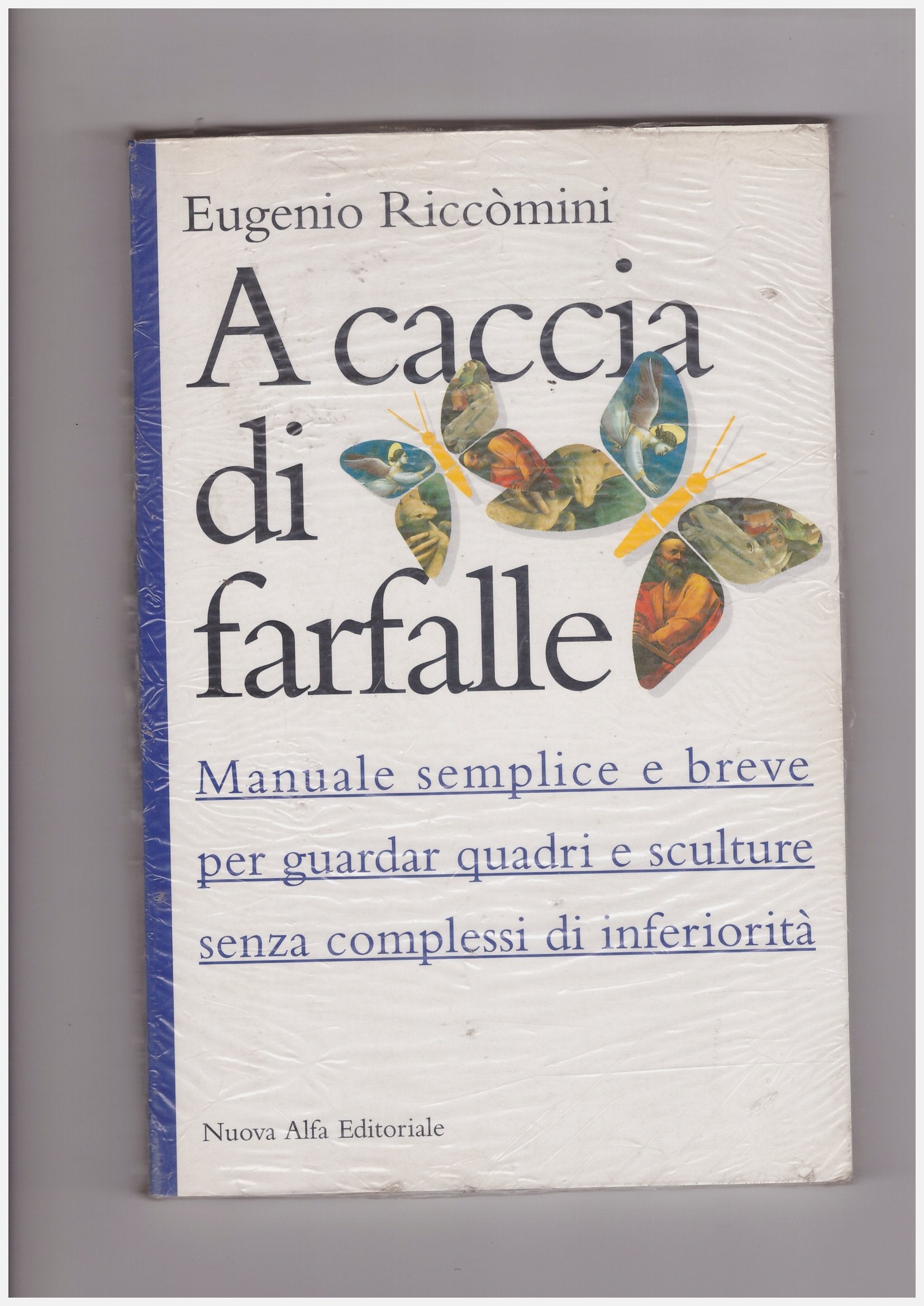 A caccia di farfalle. Manuale semplice e breve per guardar quadri e sculture senza complessi di inferiorità book