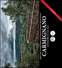 Carmignano. Le radici e le ali. Ediz. italiano e inglese (Storia) Leisure, Home & Garden