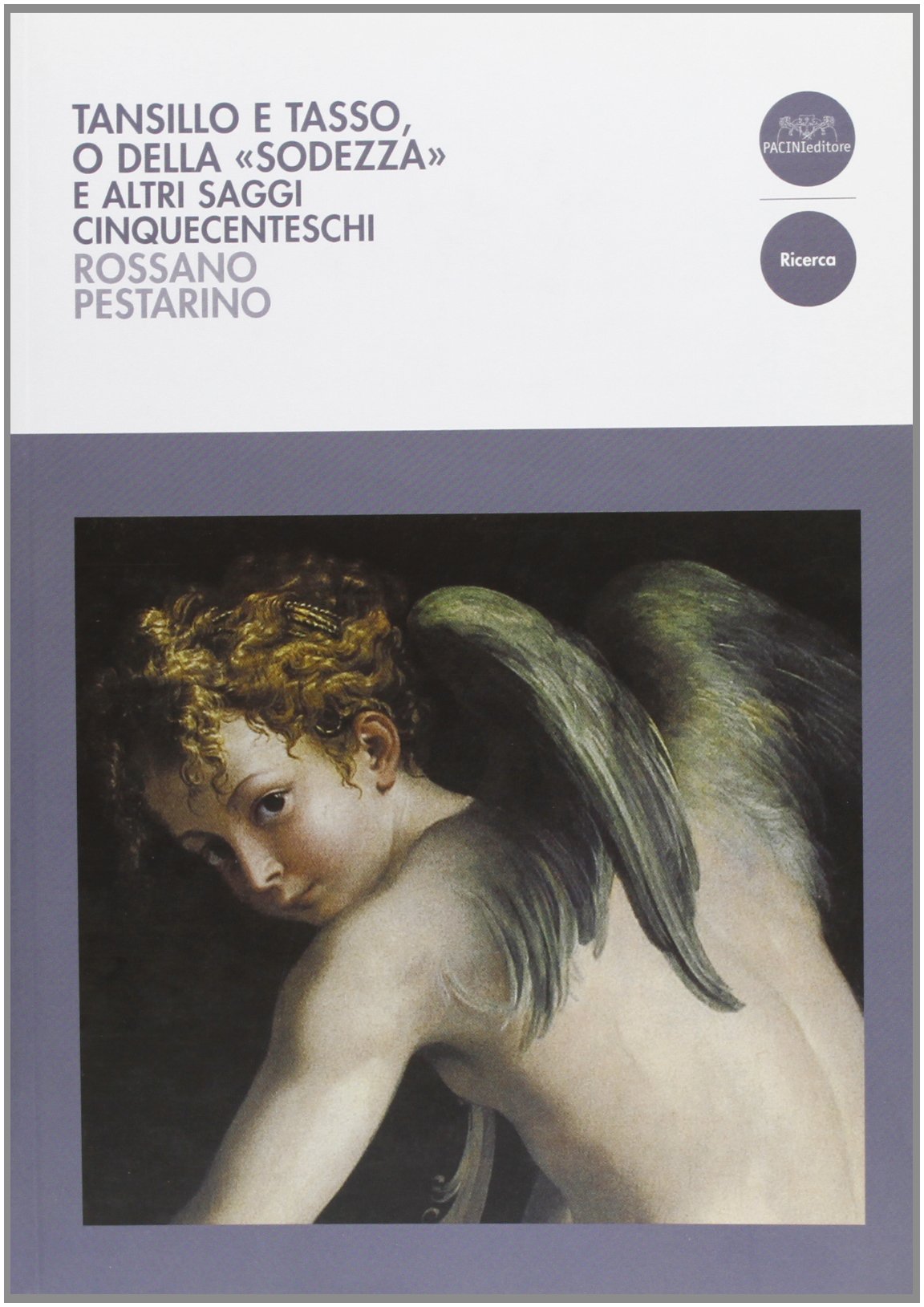 Tansillo e Tasso o della «sodezza» e altri saggi cinquecenteschi (Critica letteraria) Contemporary literature