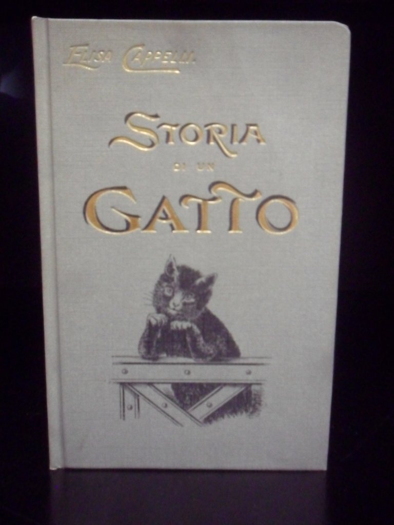 Storia di un gatto (Salani nostalgia) Novels & Short Stories
