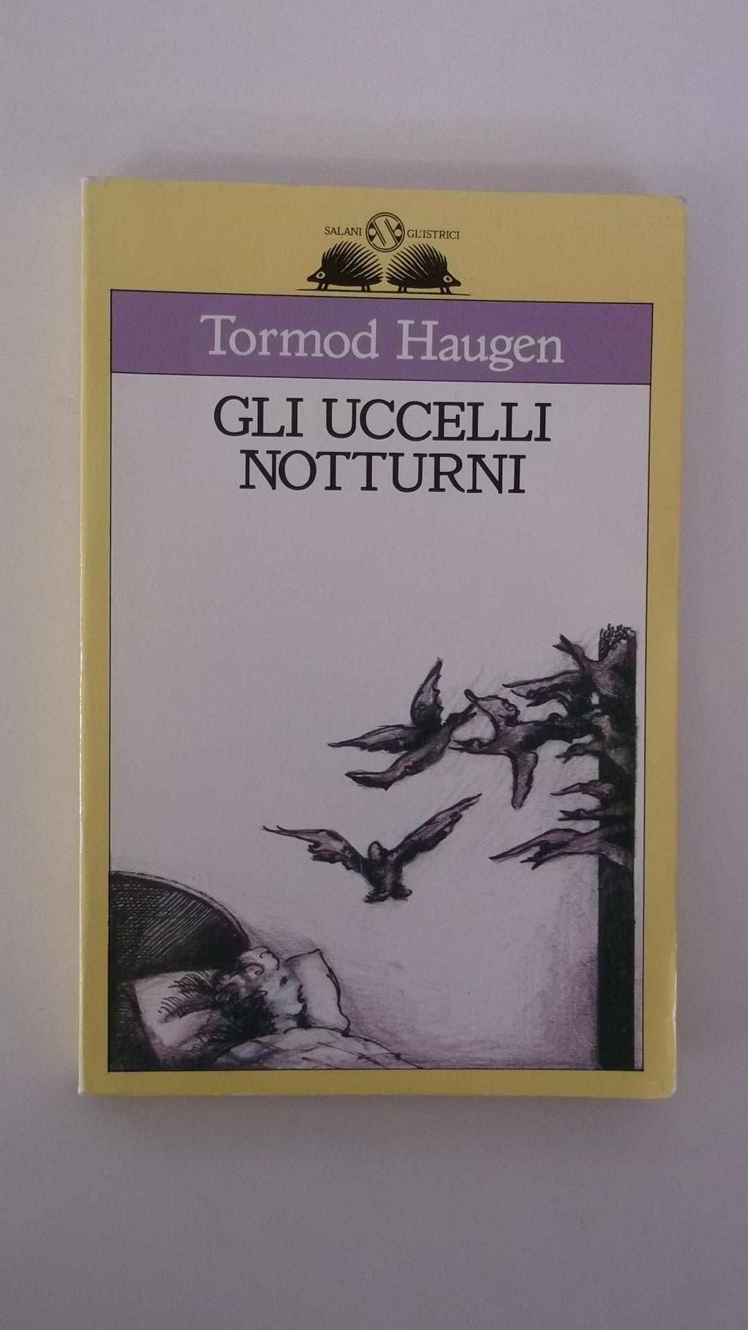 Gli uccelli notturni book