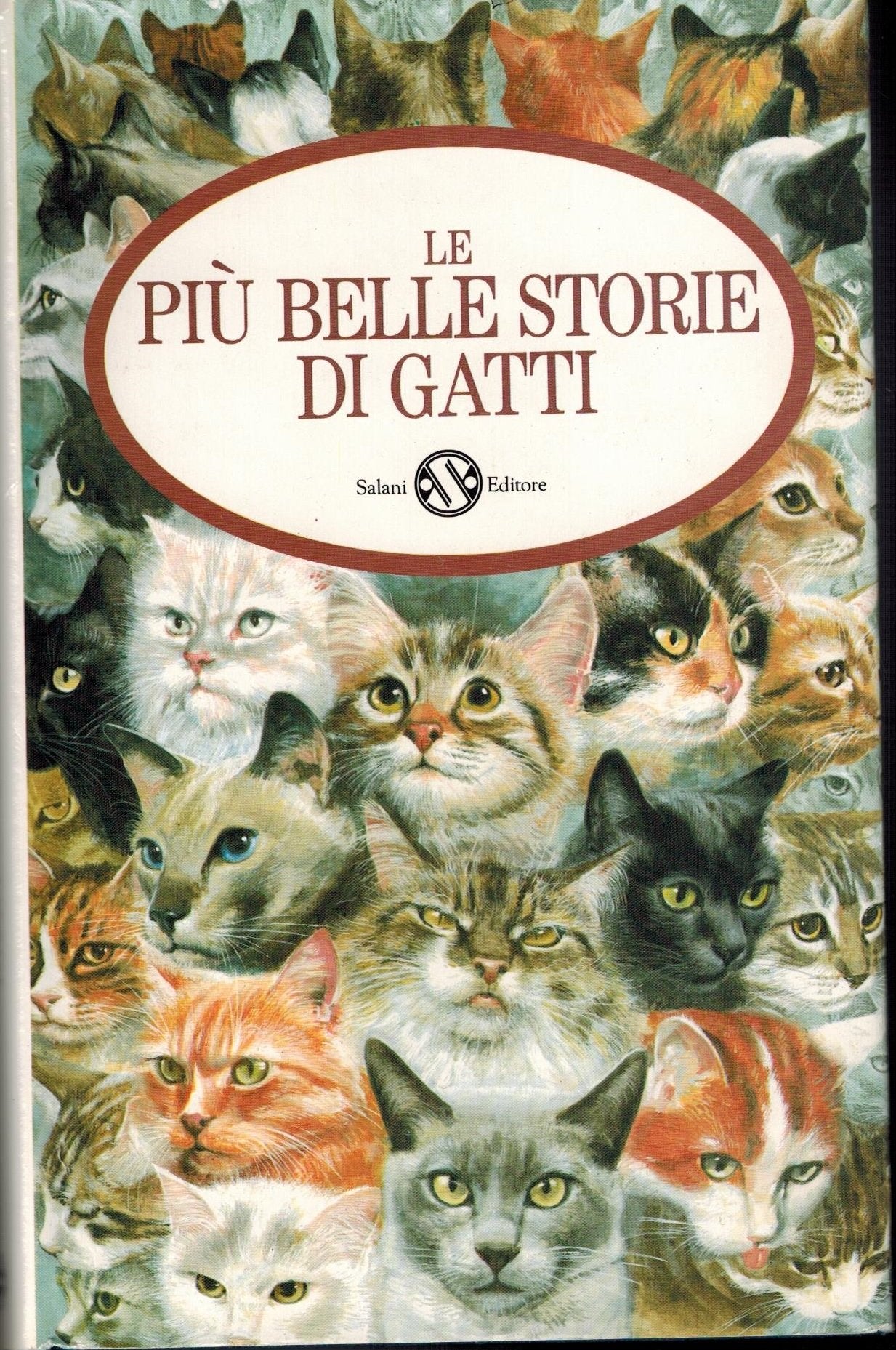 Le più belle storie di gatti book