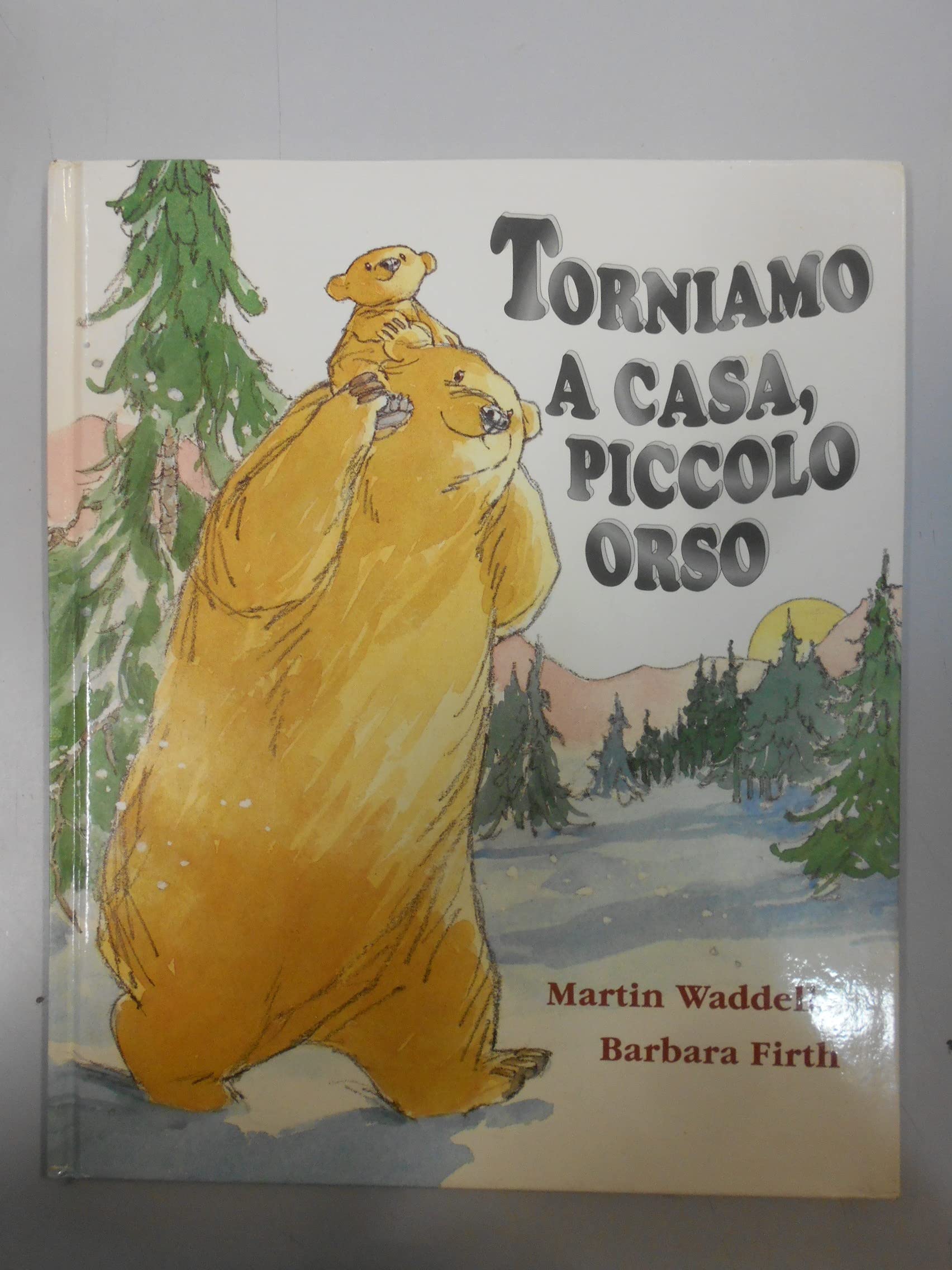 Torniamo a Casa, Piccolo Orso (Illustrati) Contemporary literature