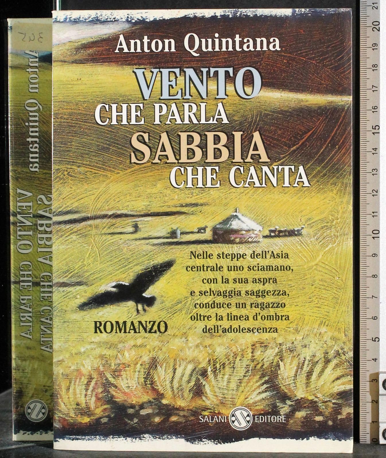 Vento che parla sabbia che canta book