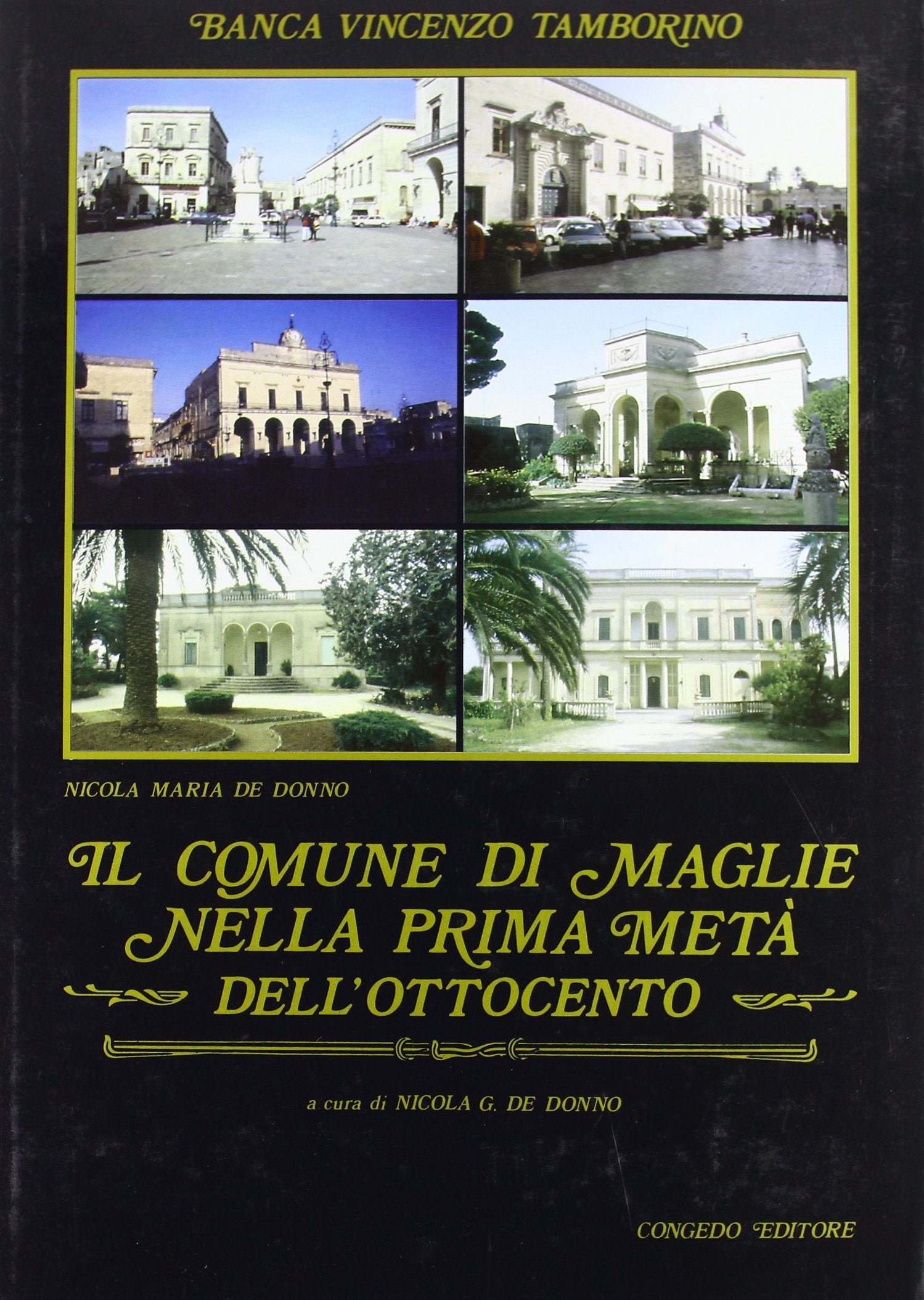 Il comune di Maglie nella prima metà dell'Ottocento book