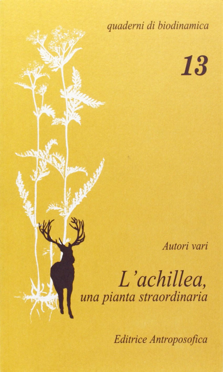 L' achillea, una pianta straordinaria Garden & Plants