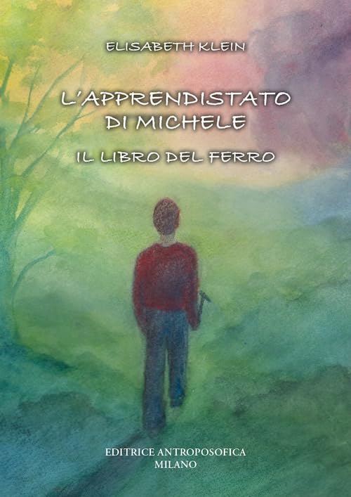 L'apprendistato di Michele. Il libro del ferro book