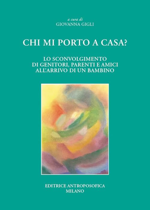 Chi mi porto a casa? Lo sconvolgimento di genitori, parenti ed amici all'arrivo di un bambino book