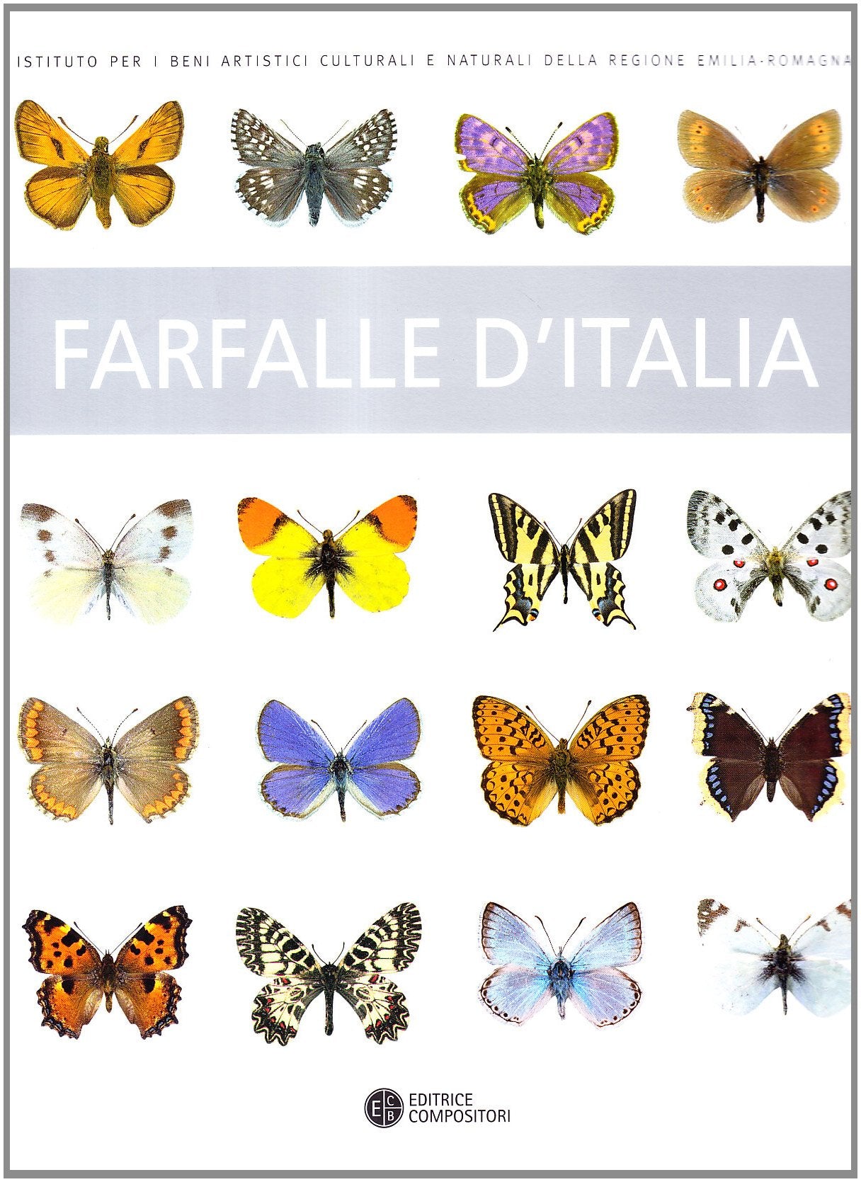 Farfalle d'Italia. Ediz. illustrata (IBC immagini e documenti) Leisure, Home & Garden