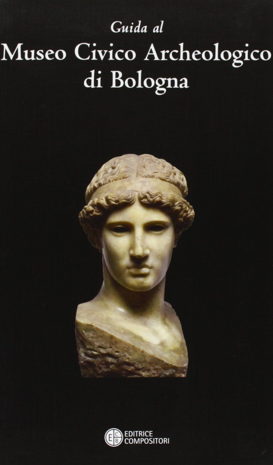 Guida al museo civico archeologico di Bologna book