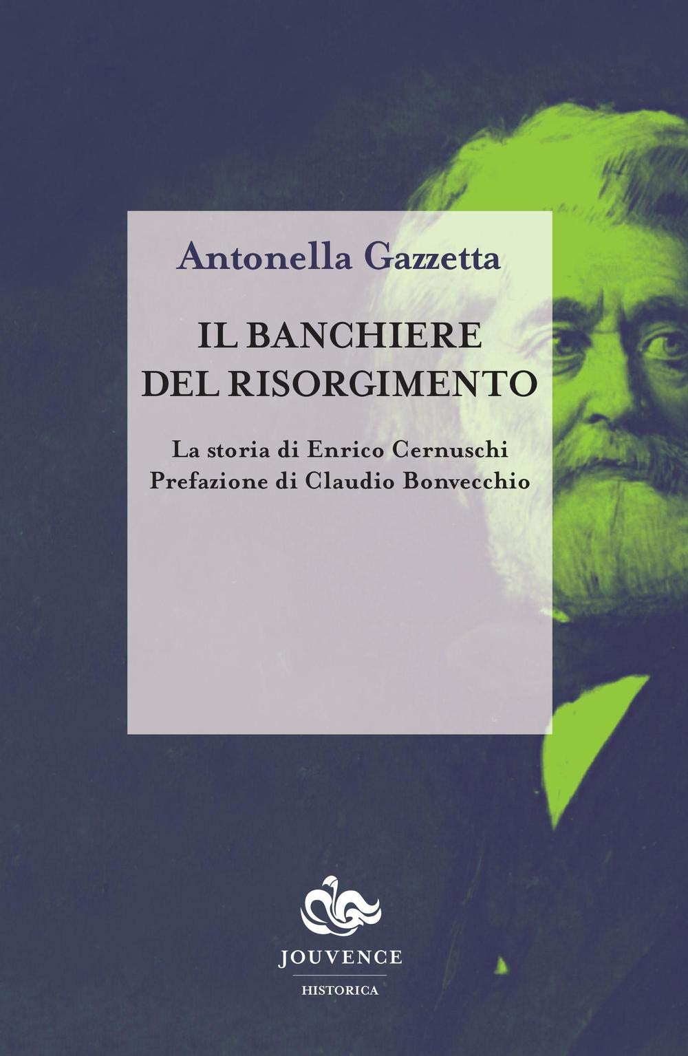 Il banchiere del risorgimento. La storia di Enrico Cernuschi (Historica) Science