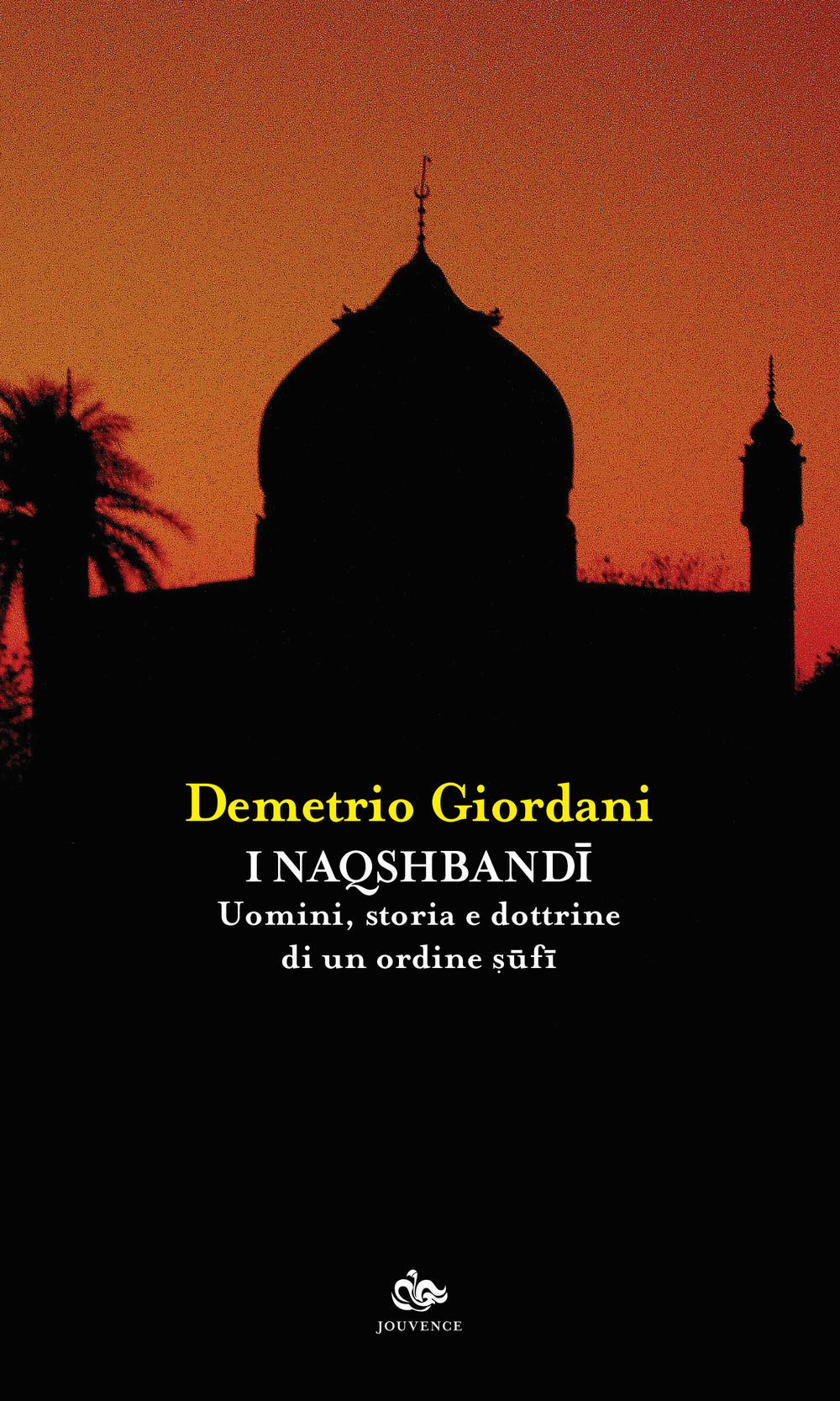 I Naqshbandi. Uomini, storia e dottrine di un ordine sufi Politics & Society