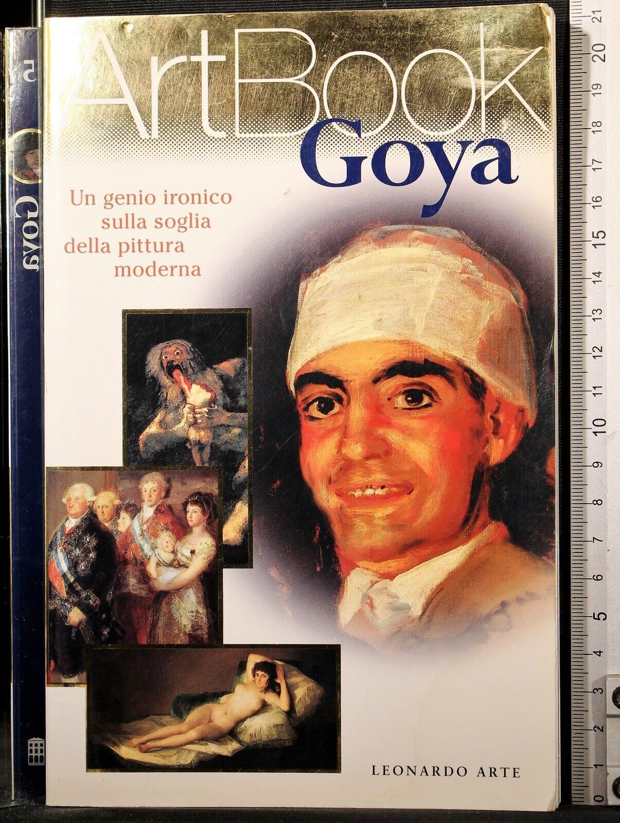Goya. Il sonno della ragione produce mostri book