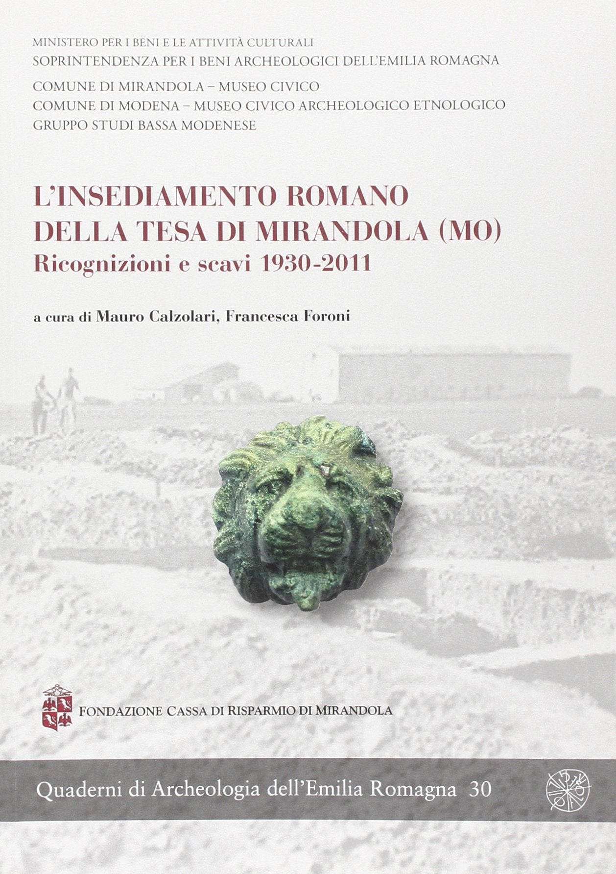 L'insediamento romano della Tesa di Mirandola (MO). Ricognizioni e scavi 1930-2011 book
