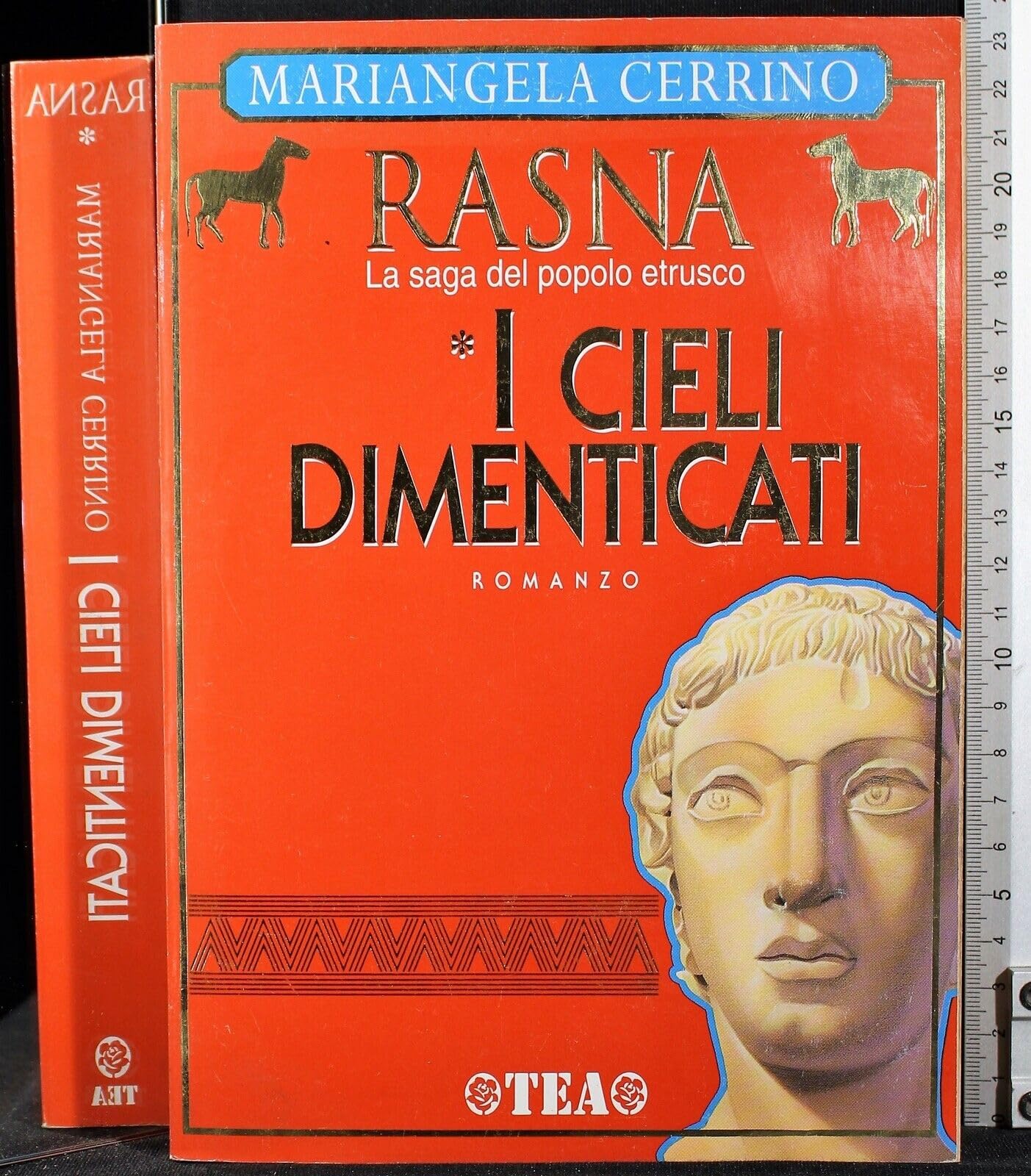 I cieli dimenticati (Rasna) Contemporary literature