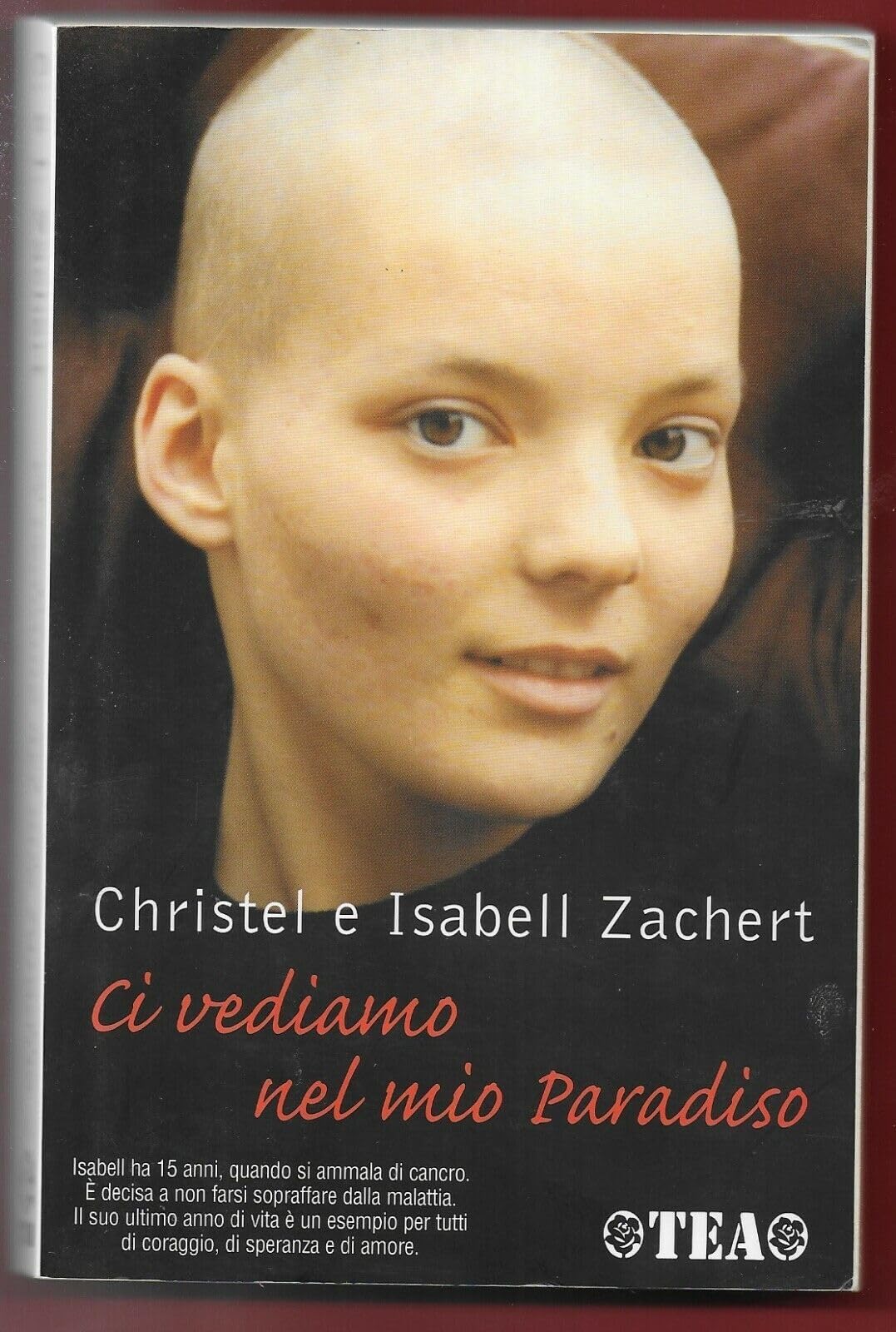 Ci vediamo nel mio paradiso Contemporary literature