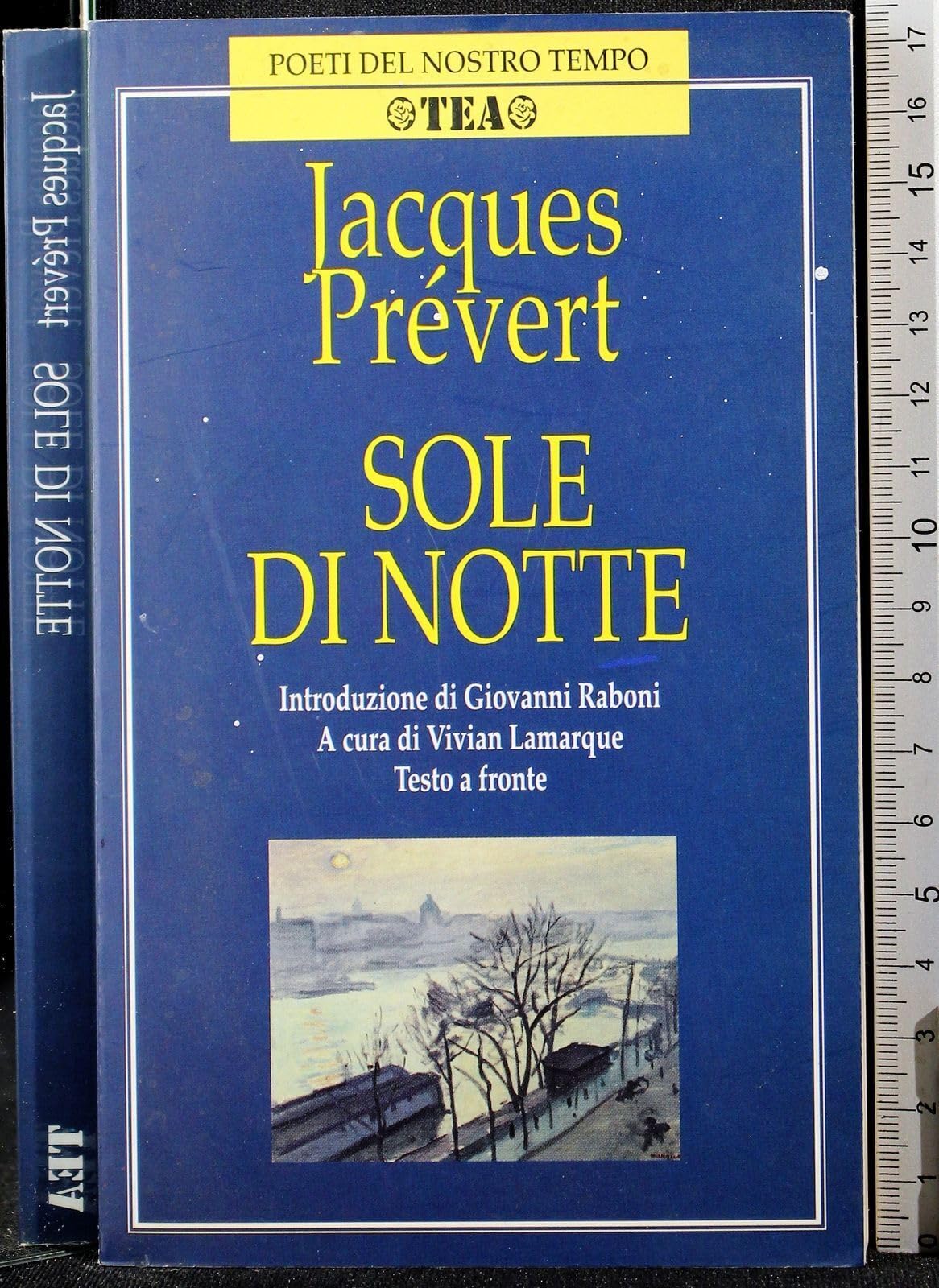 Il sole di notte. Testo originale a fronte (Poeti del nostro tempo) Poetry