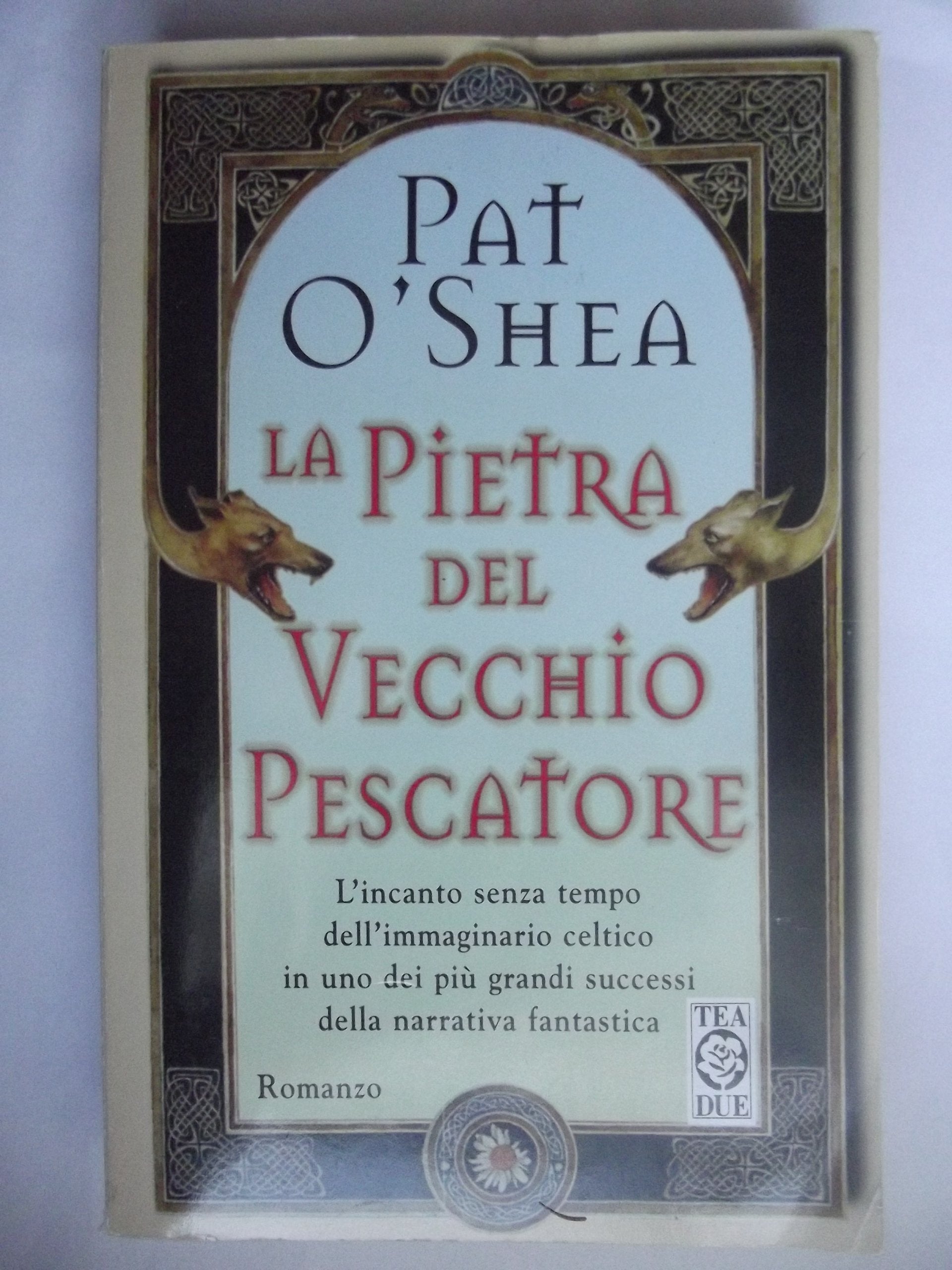 La pietra del vecchio pescatore book