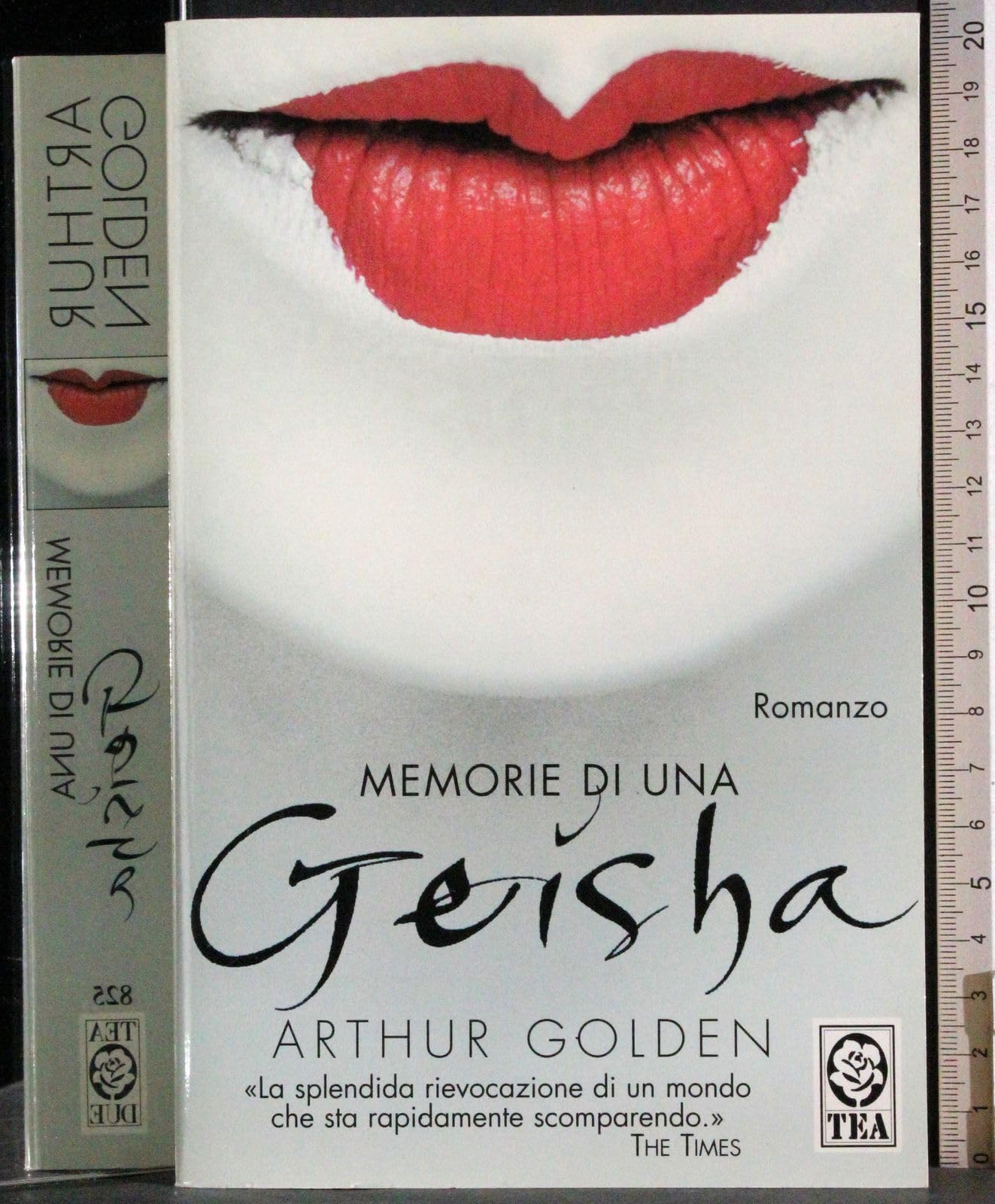 Memorie di una geisha book