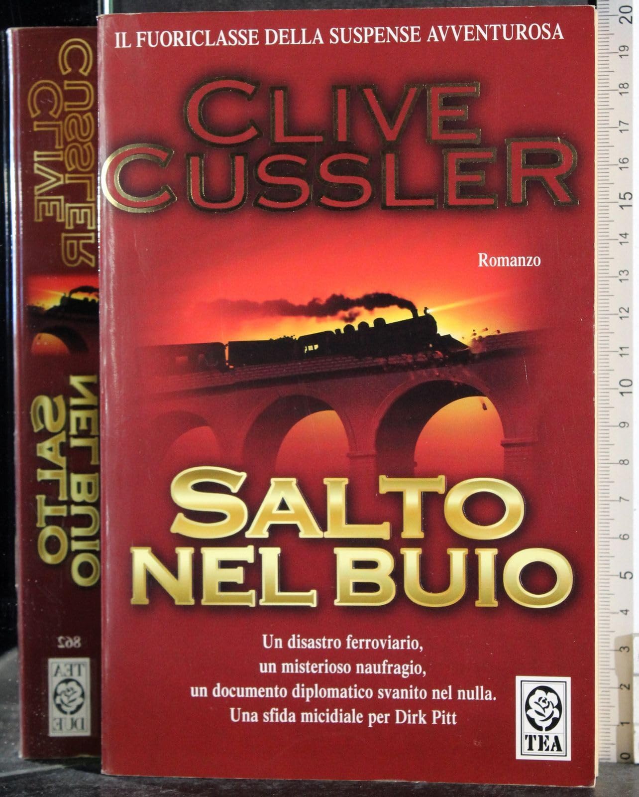 Salto Nel Buio (Teadue) Contemporary literature