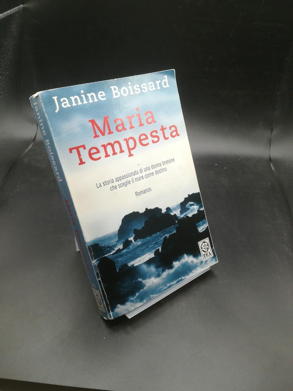 Maria Tempesta (Teadue) Contemporary literature