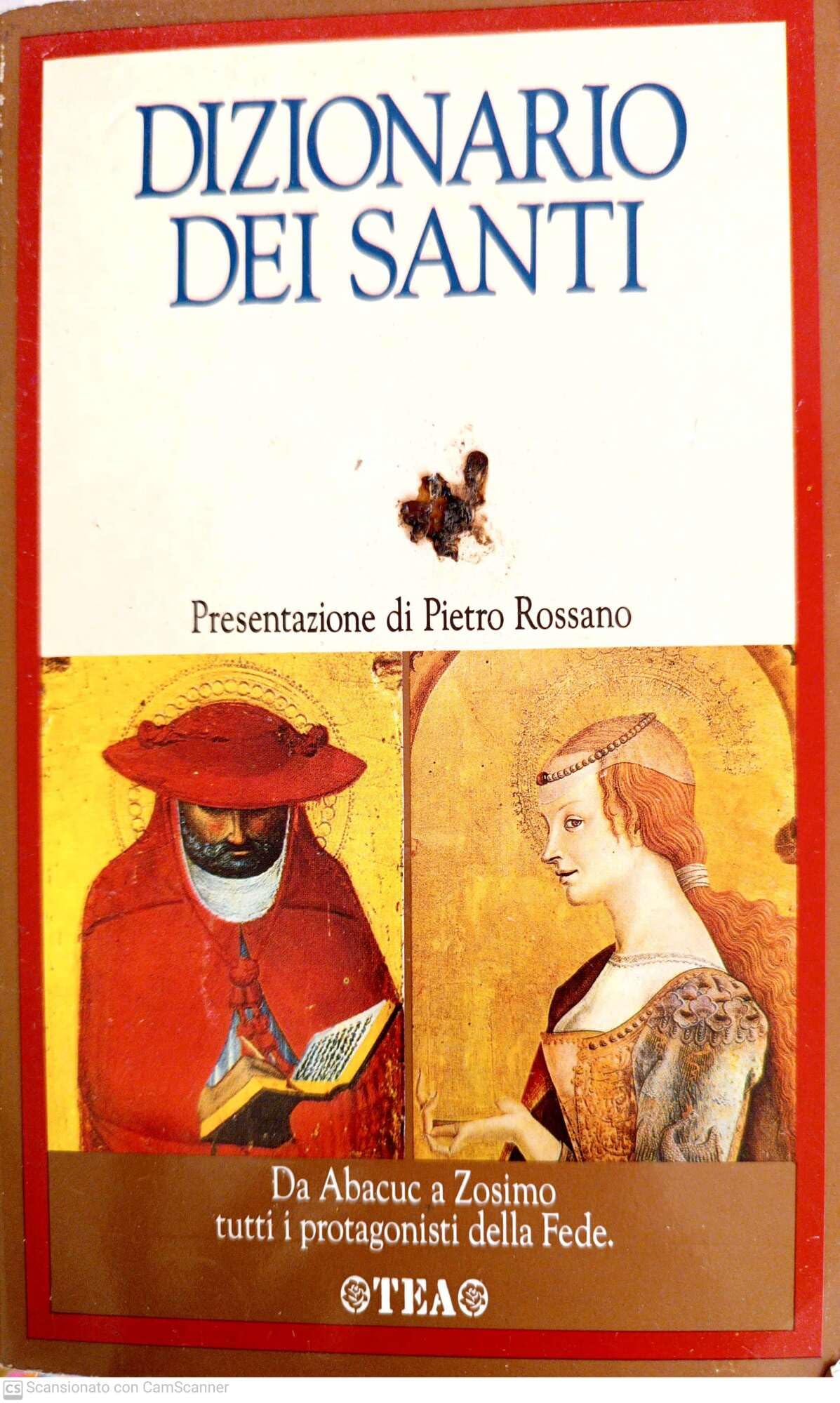 Dizionario dei santi (I dizionari) Politics & Society