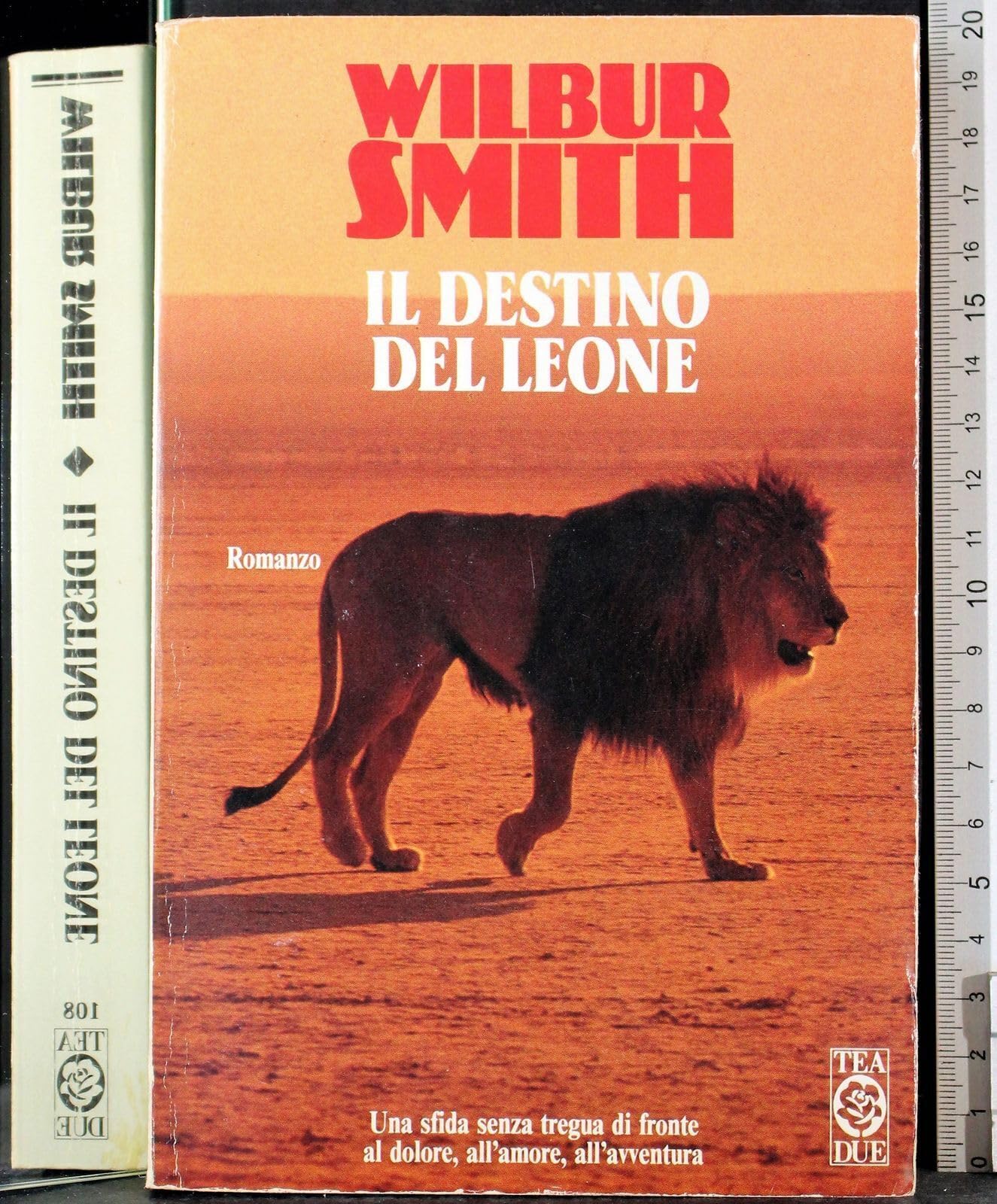 Il destino del leone (Teadue) Action & Adventure