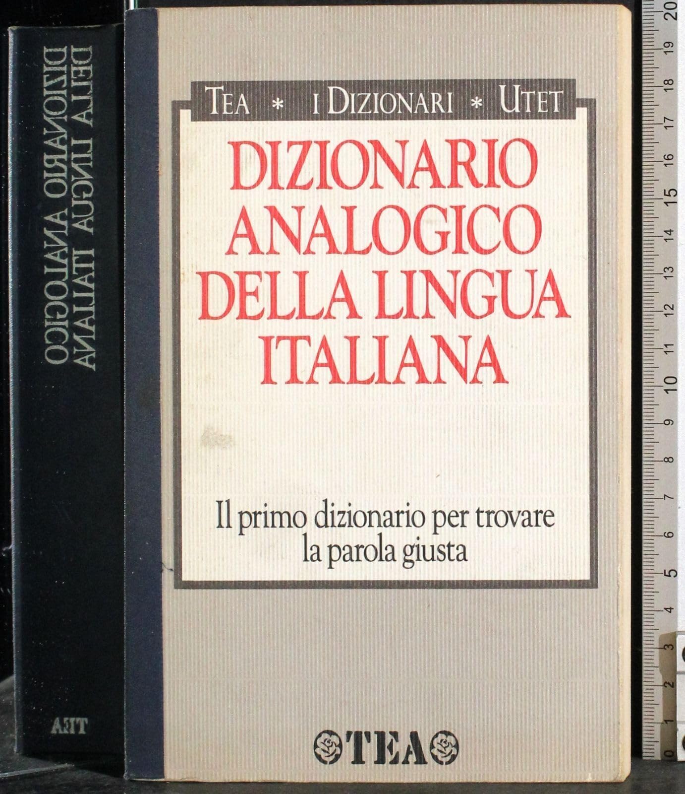 Dizionario analogico della lingua italiana (I dizionari) Foreign Languages ​​& Dictionaries