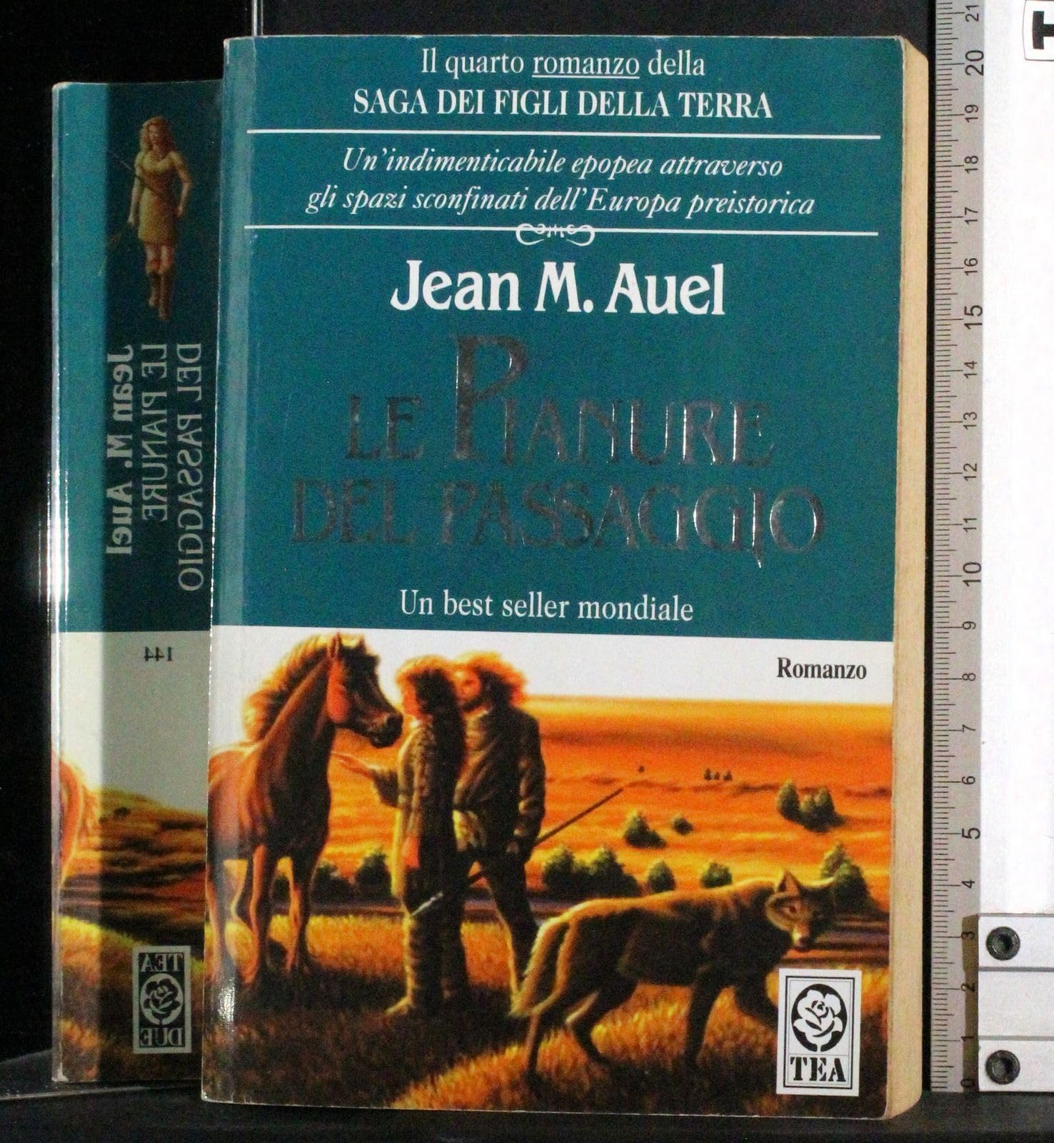 La Pianure Del Passagio / the Plains of Passage (I Figli Della Terra / Earth's Children, Band 4) Historical Fiction