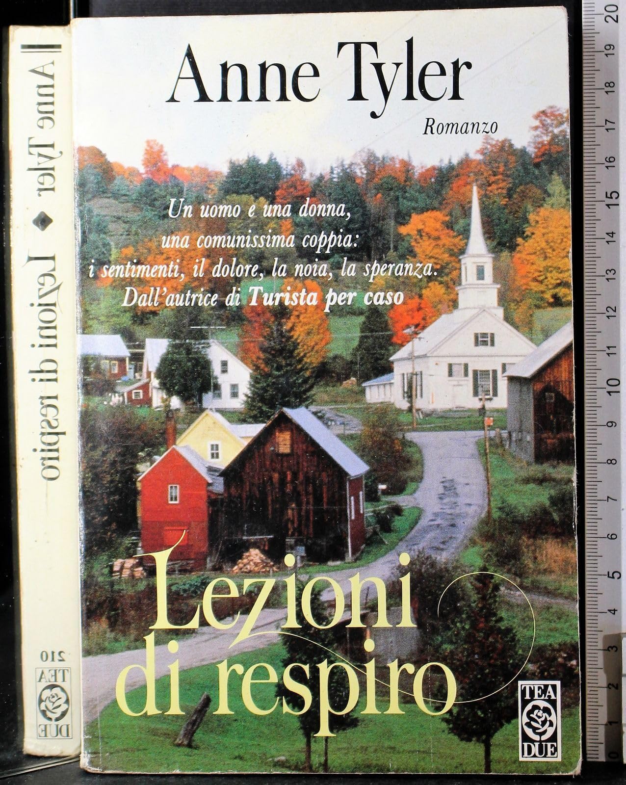 Lezioni di respiro (Teadue) Contemporary literature