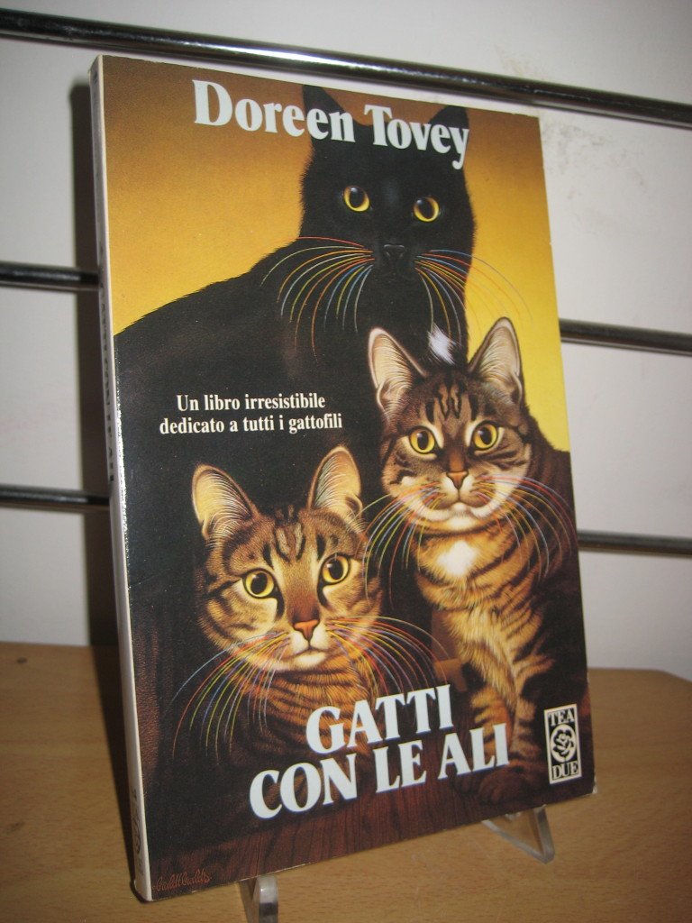 Gatti con le ali (Teadue) Contemporary literature