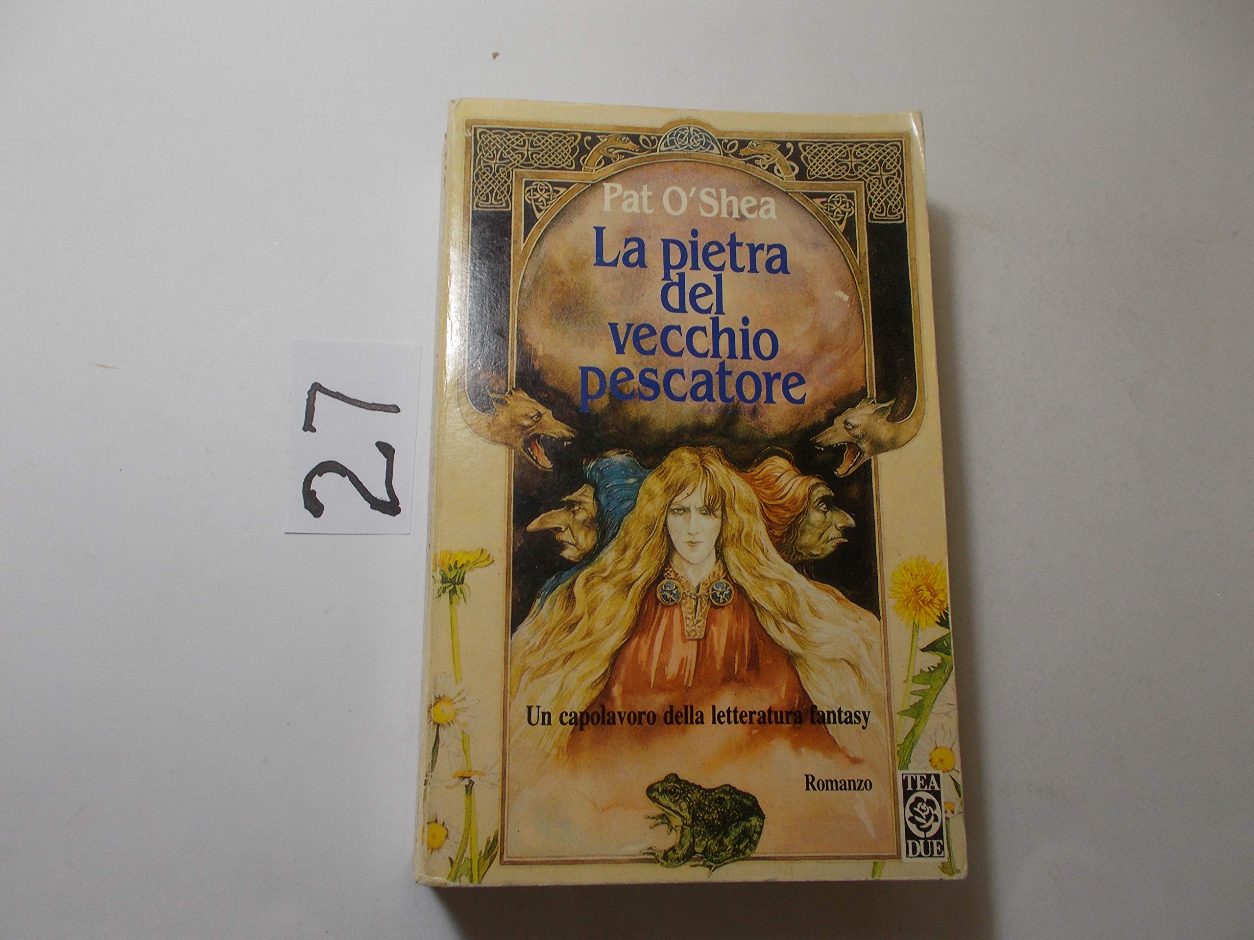 La pietra del vecchio pescatore (Teadue) Contemporary literature