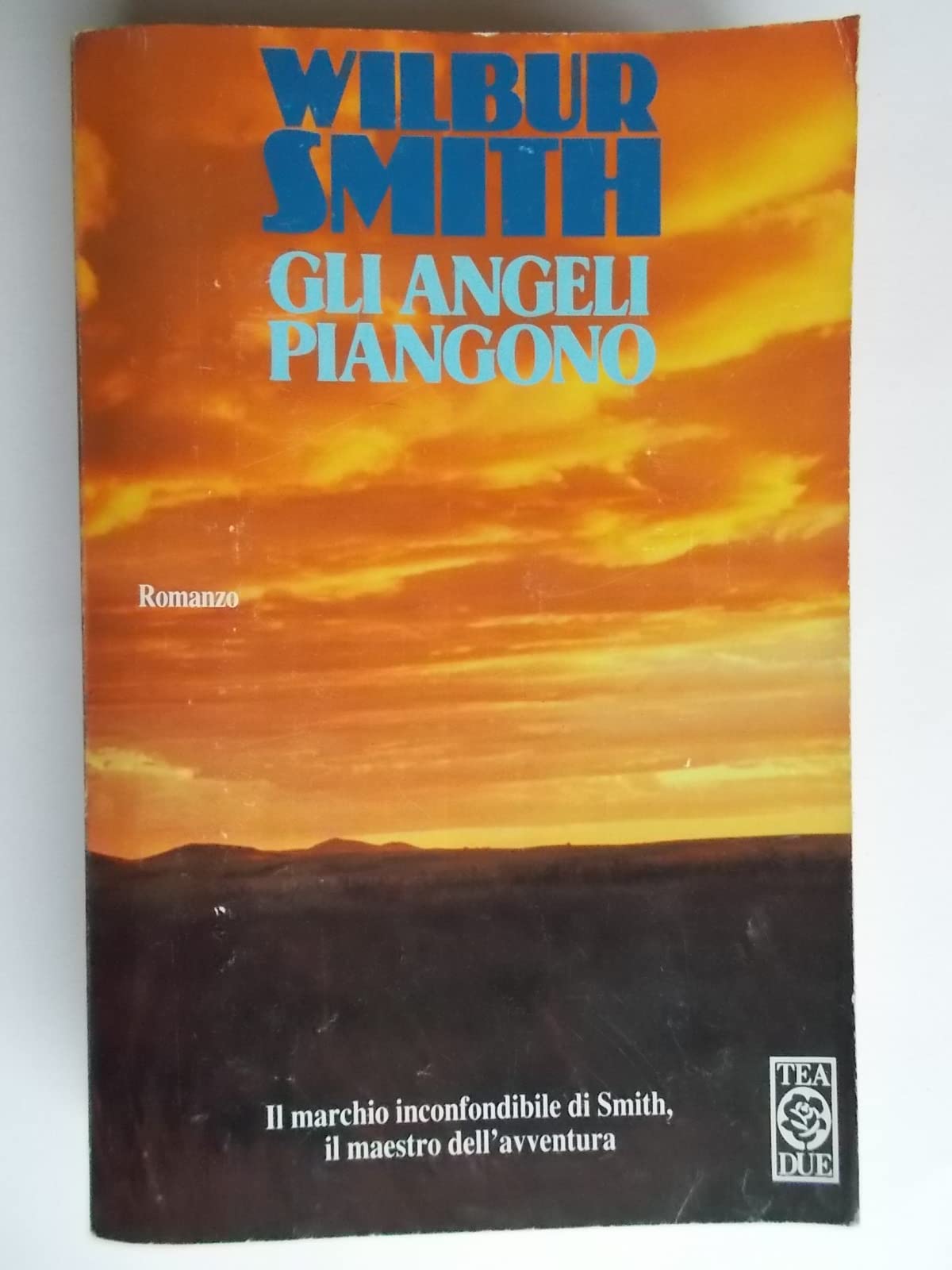 Gli Angeli Piangono (Teadue) Contemporary literature