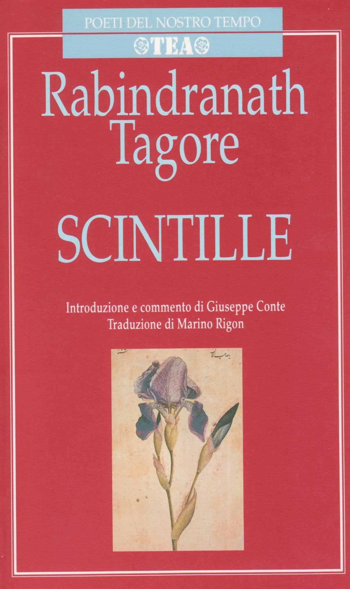 Scintille (Poeti del nostro tempo) Poetry