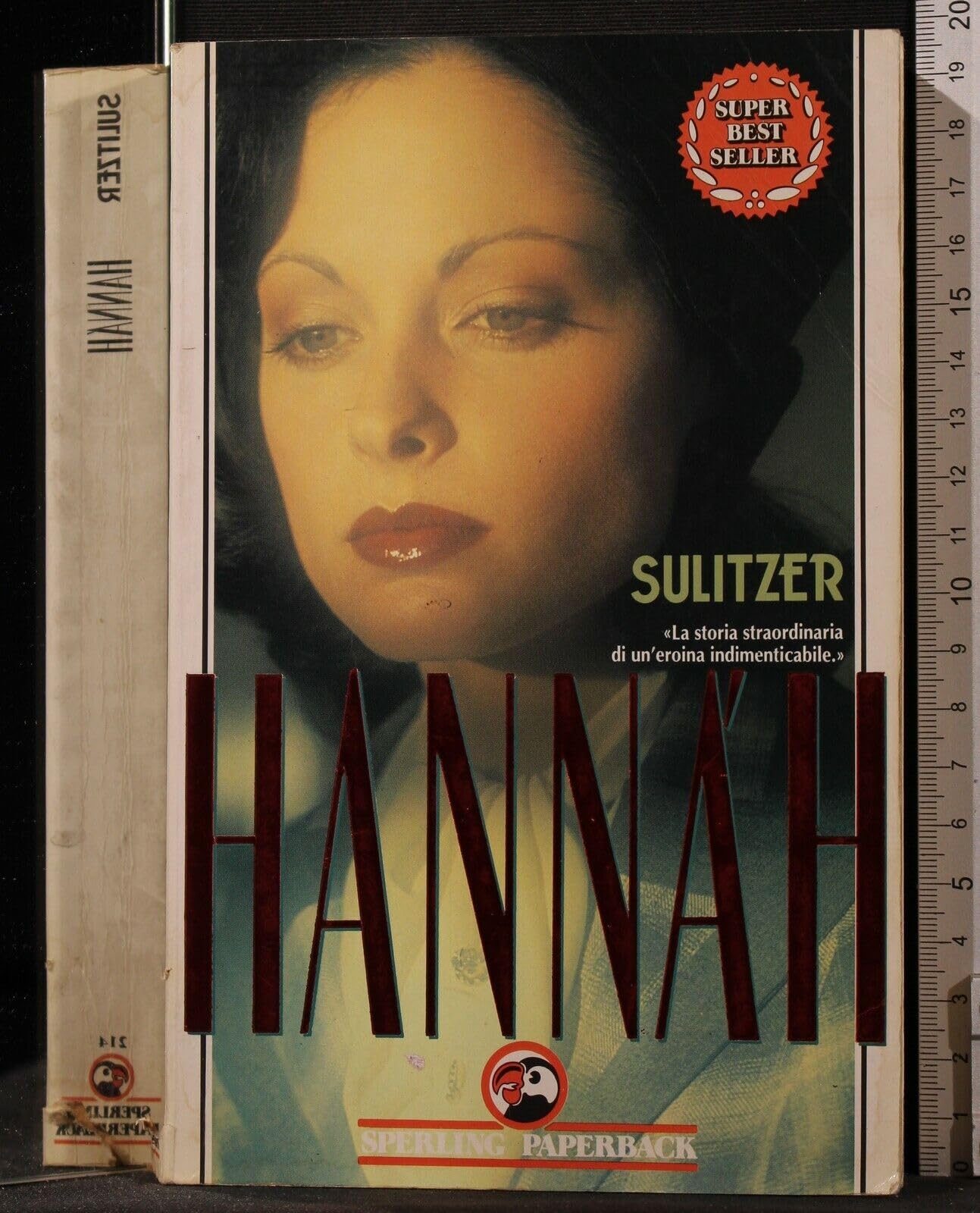 Hannah (Super bestseller) Contemporary literature