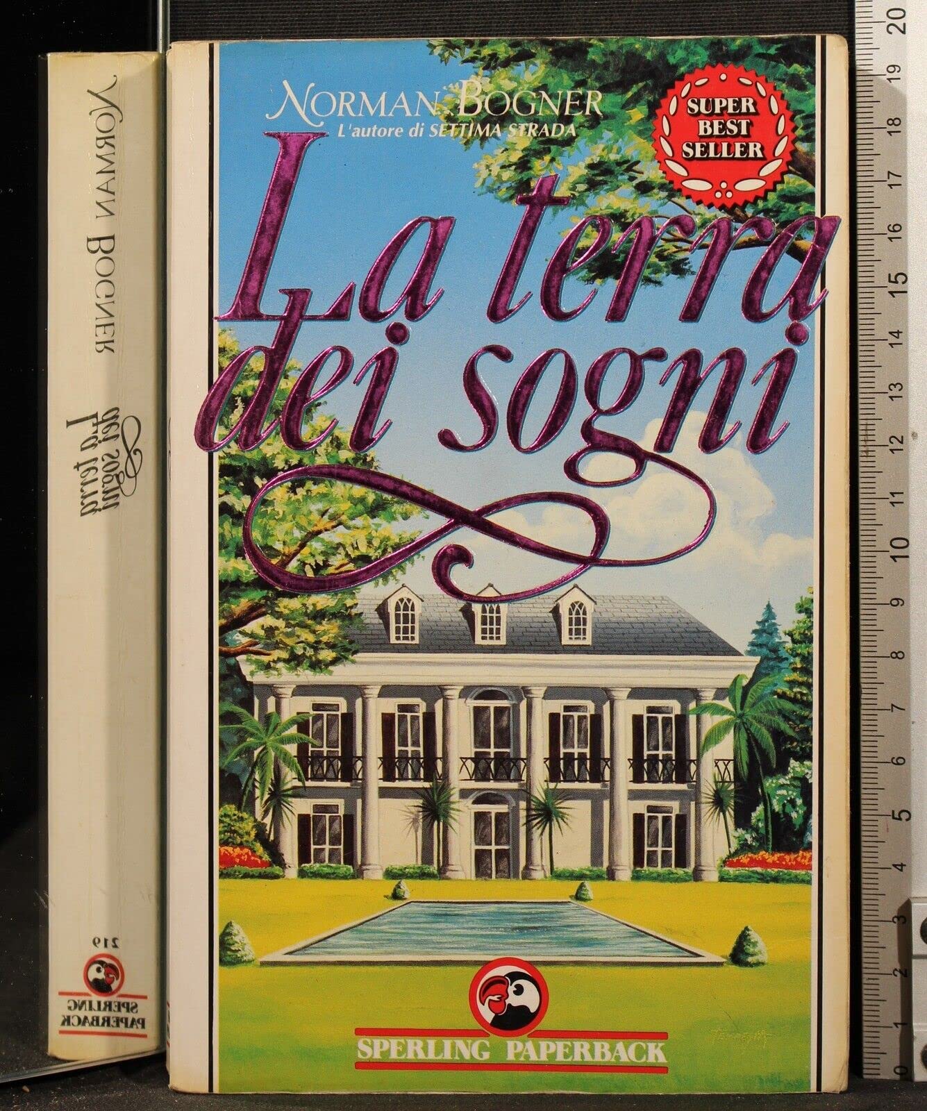 La terra dei sogni (Super bestseller) Contemporary literature
