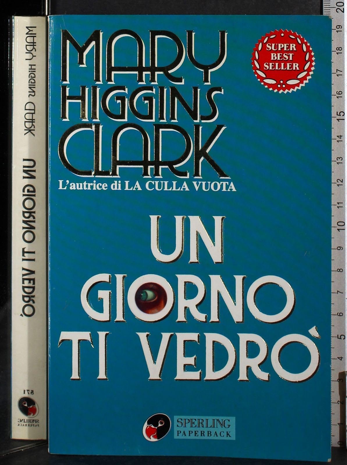 Un giorno ti vedrò (Super bestseller) Contemporary literature