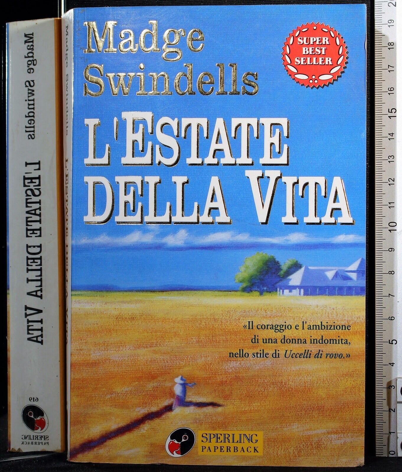 L'estate della vita (Super bestseller) Contemporary literature