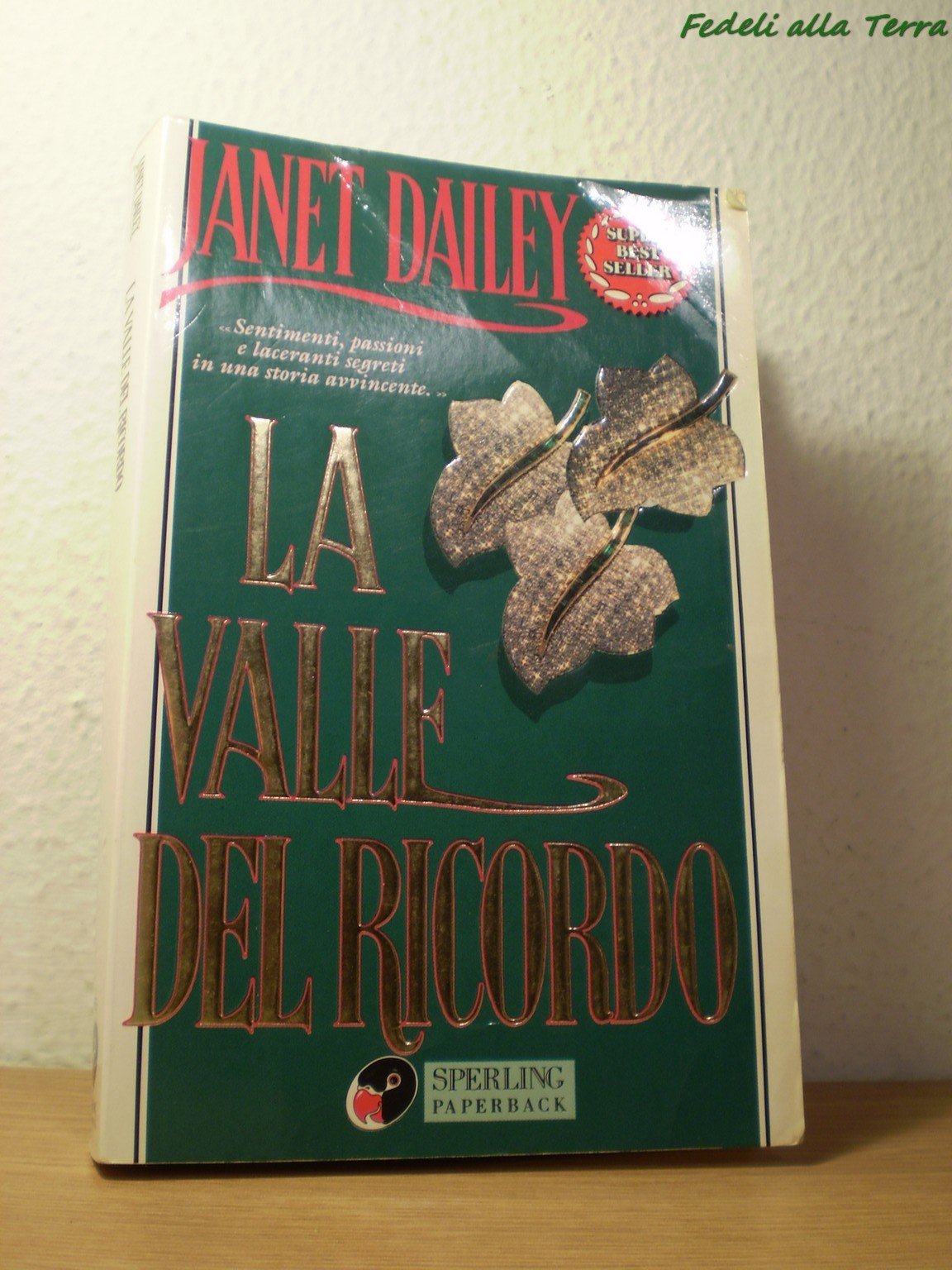 La valle del ricordo (Super bestseller) Contemporary literature Books