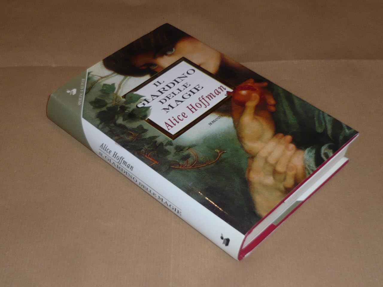 Il giardino delle magie (Super bestseller) Contemporary literature