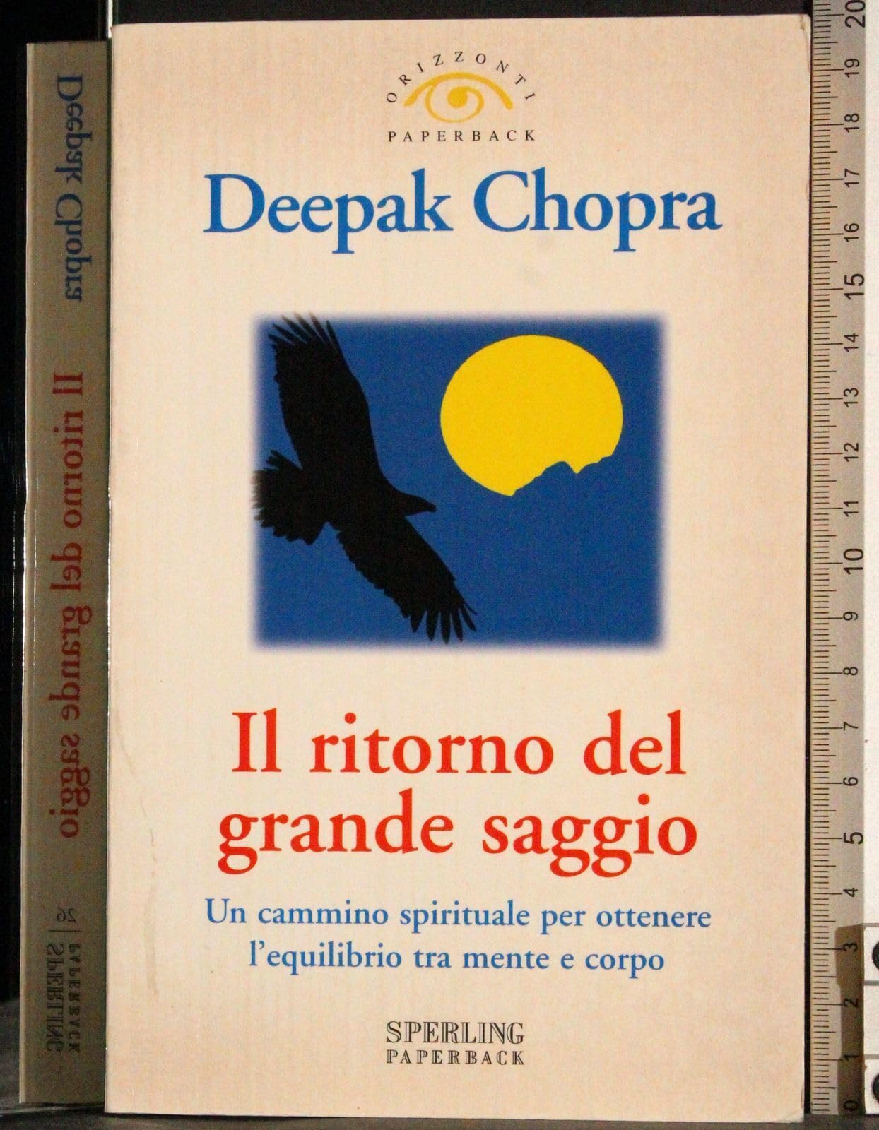 Il ritorno del grande saggio. Un cammino spirituale per ottenere l'equilibrio tra mente e corpo book